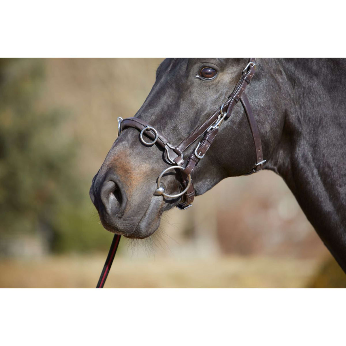 Kieffer Kapzaum Utrasoft Schwarz