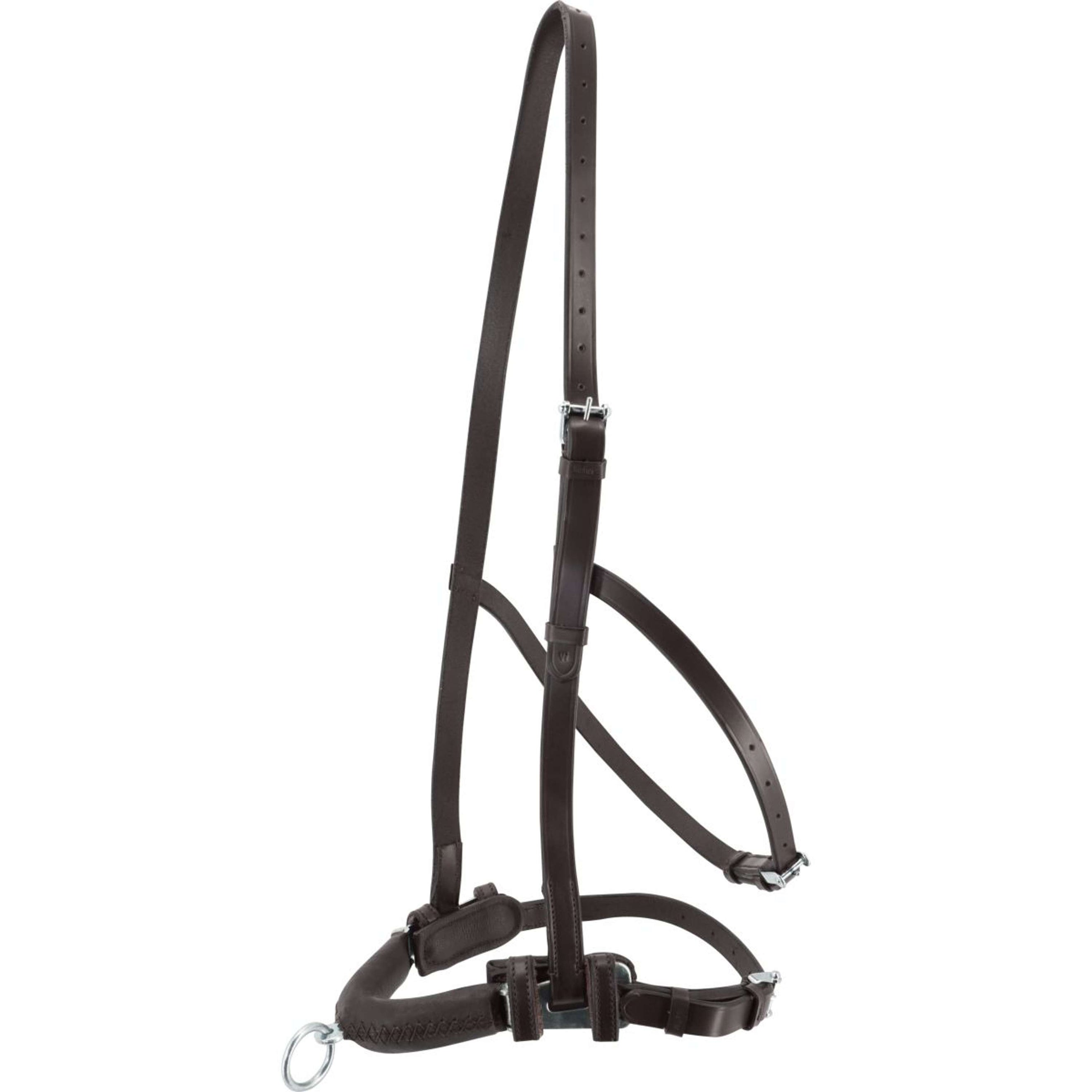 Kieffer Kapzaum Anja Beran Schwarz