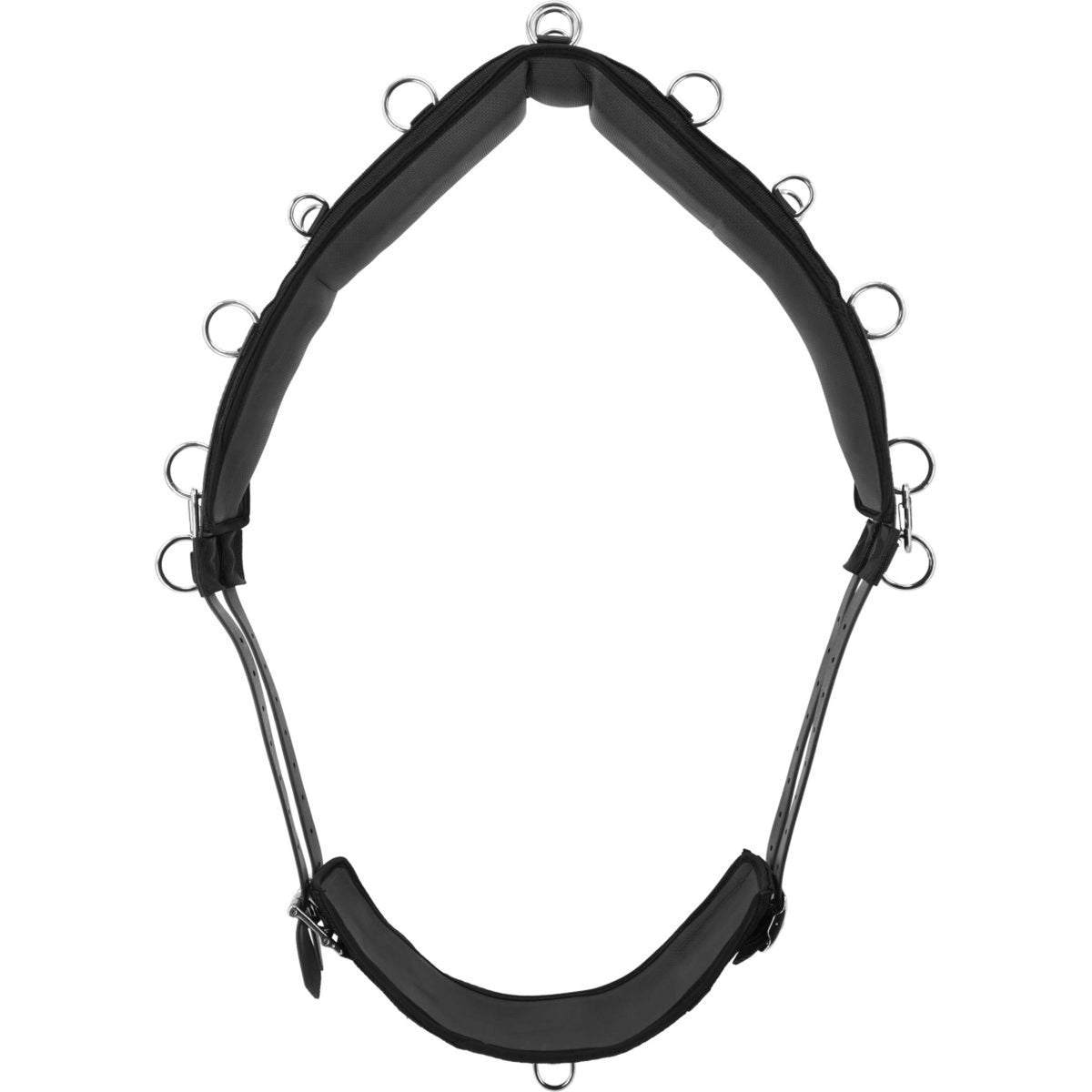 Kieffer Longiergurt Schwarz