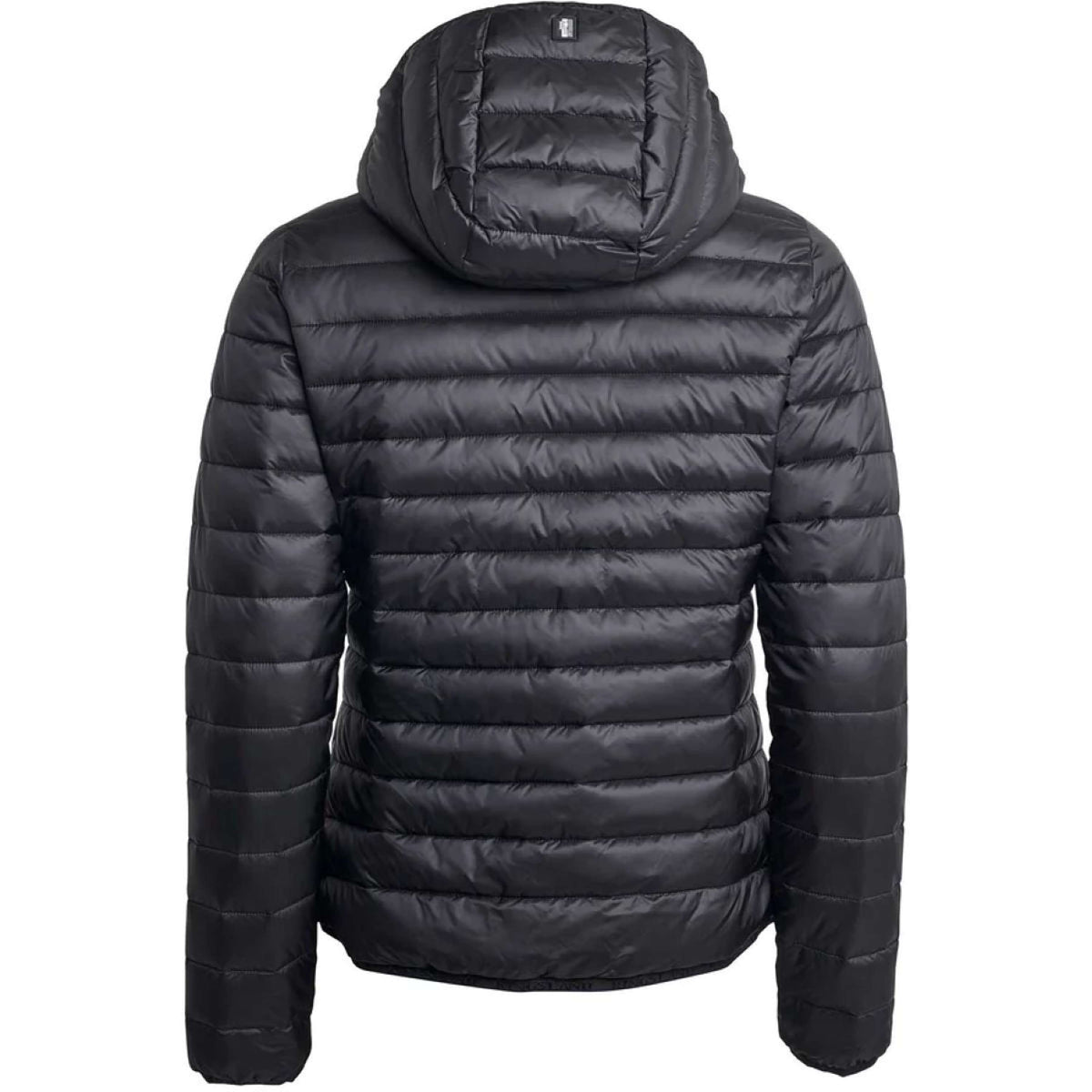 Kingsland Jacke Classic mit Hoody Wattierte Damen Schwarz