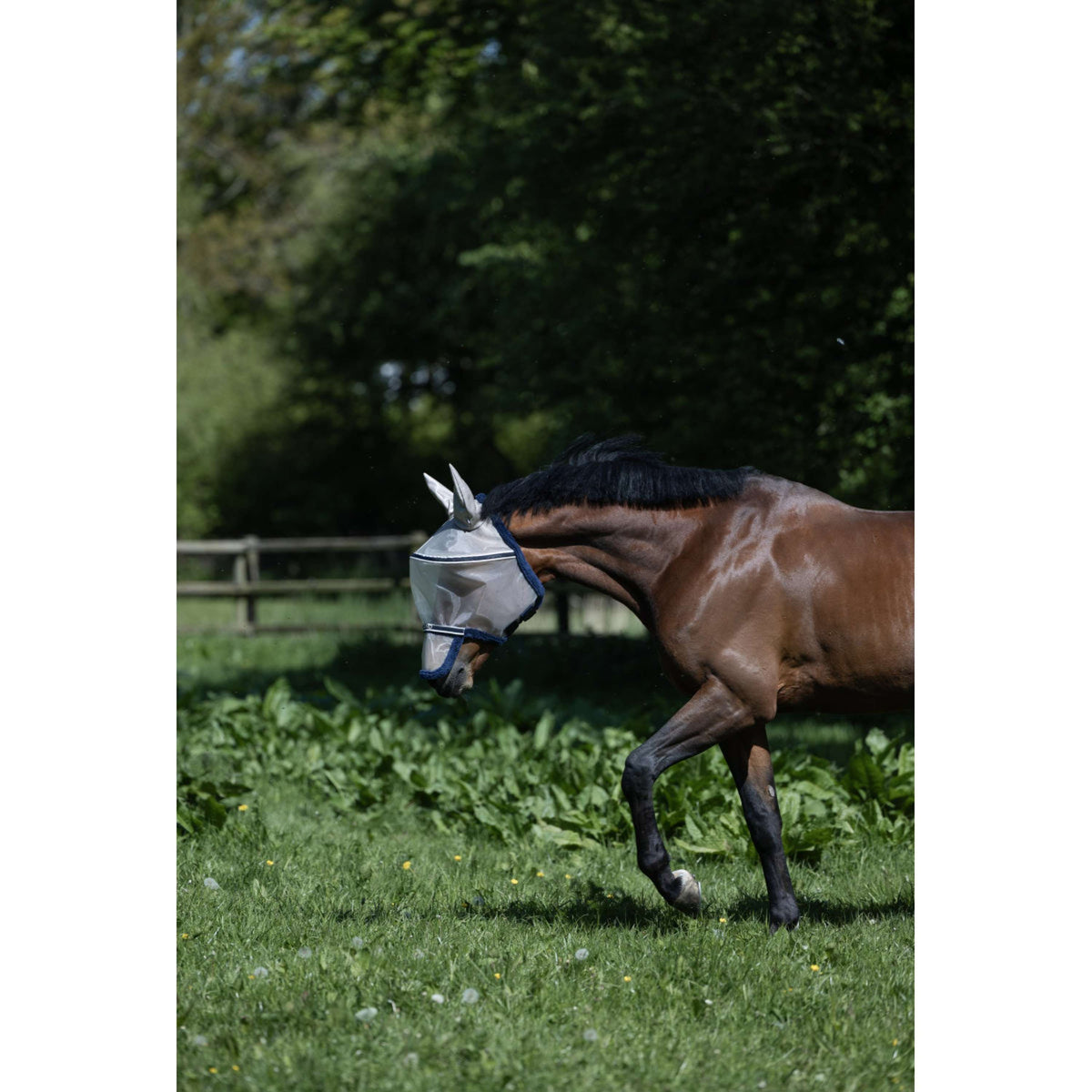 Kingsland Fliegenmaske KLLando mit Ohren Rainy Day