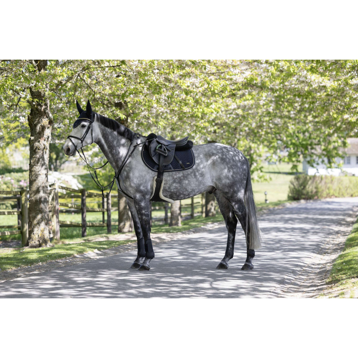 Kingsland Schabracke KLLucca Cooling Springen Navy