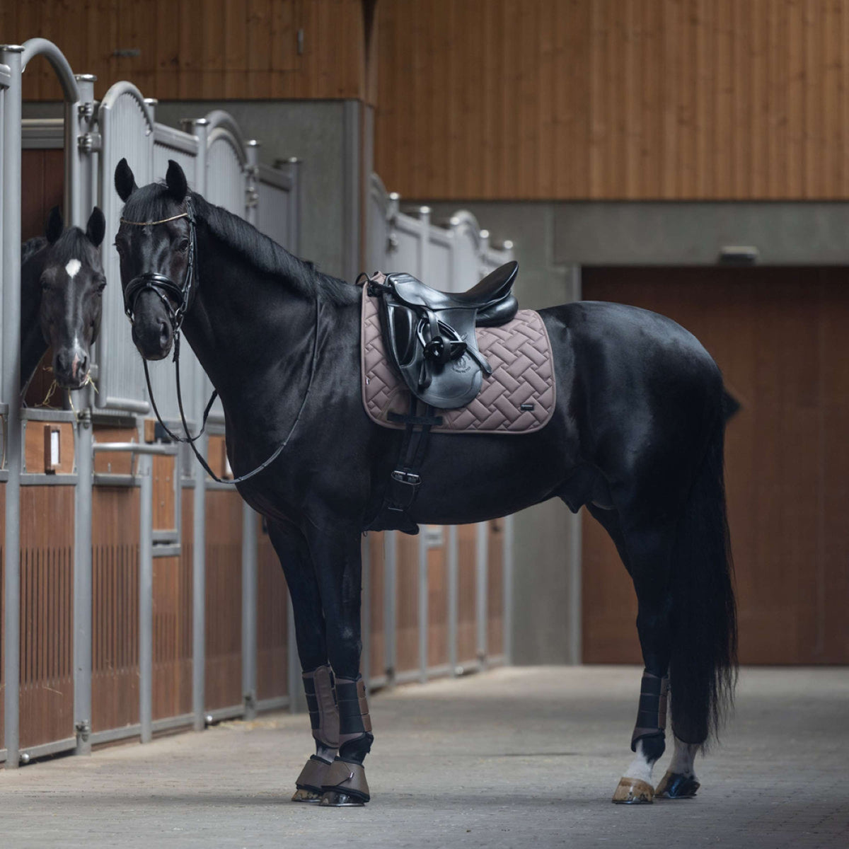 Kingsland Schabracke KLLexie Dressur Brown Iron