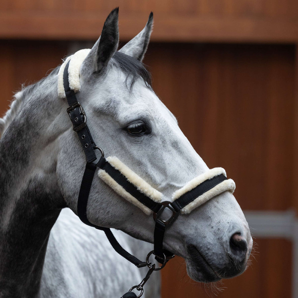 Kingsland Halfterset KLLexie mit Fell Schwarz