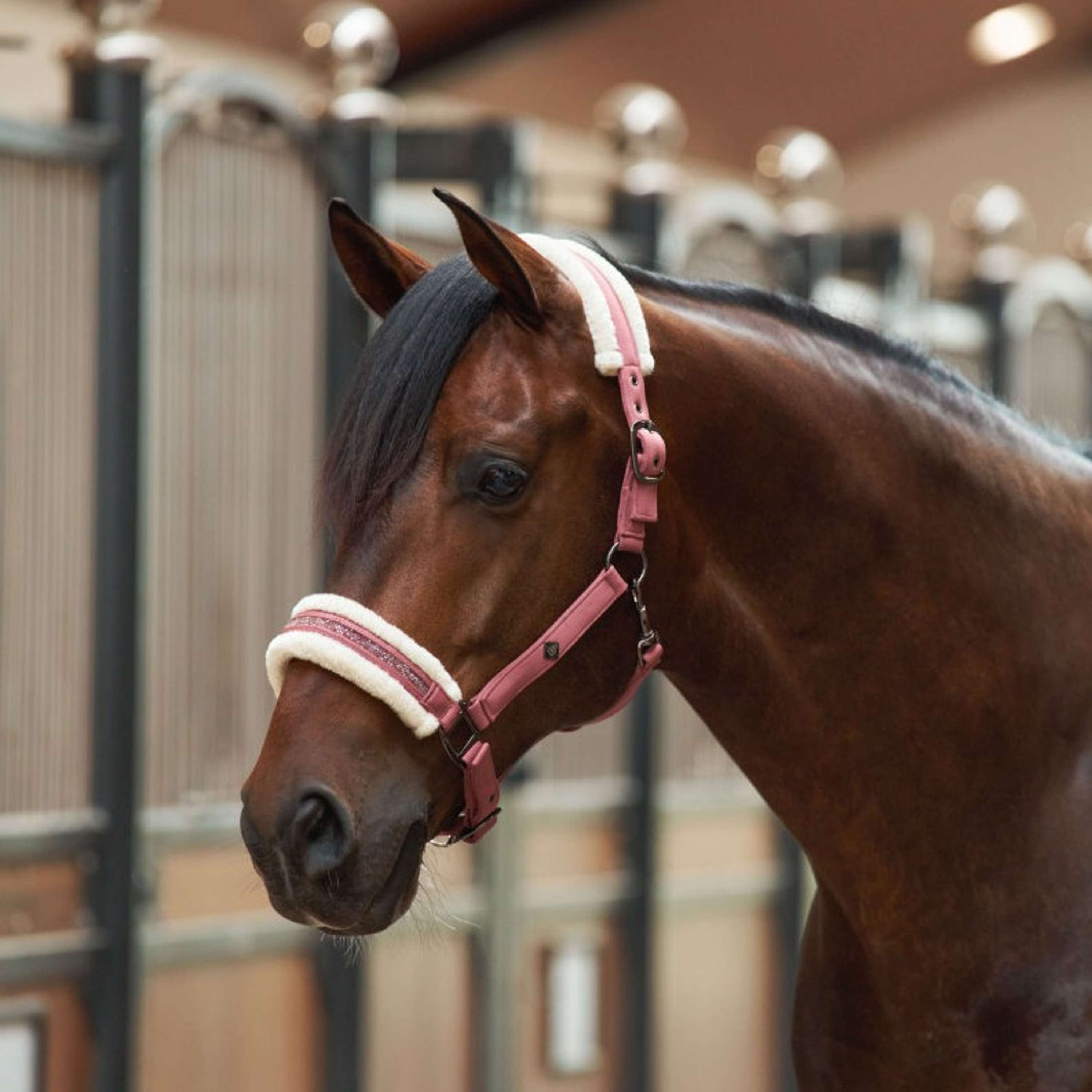 Imperial Riding Halfter IRHJewel Mauve