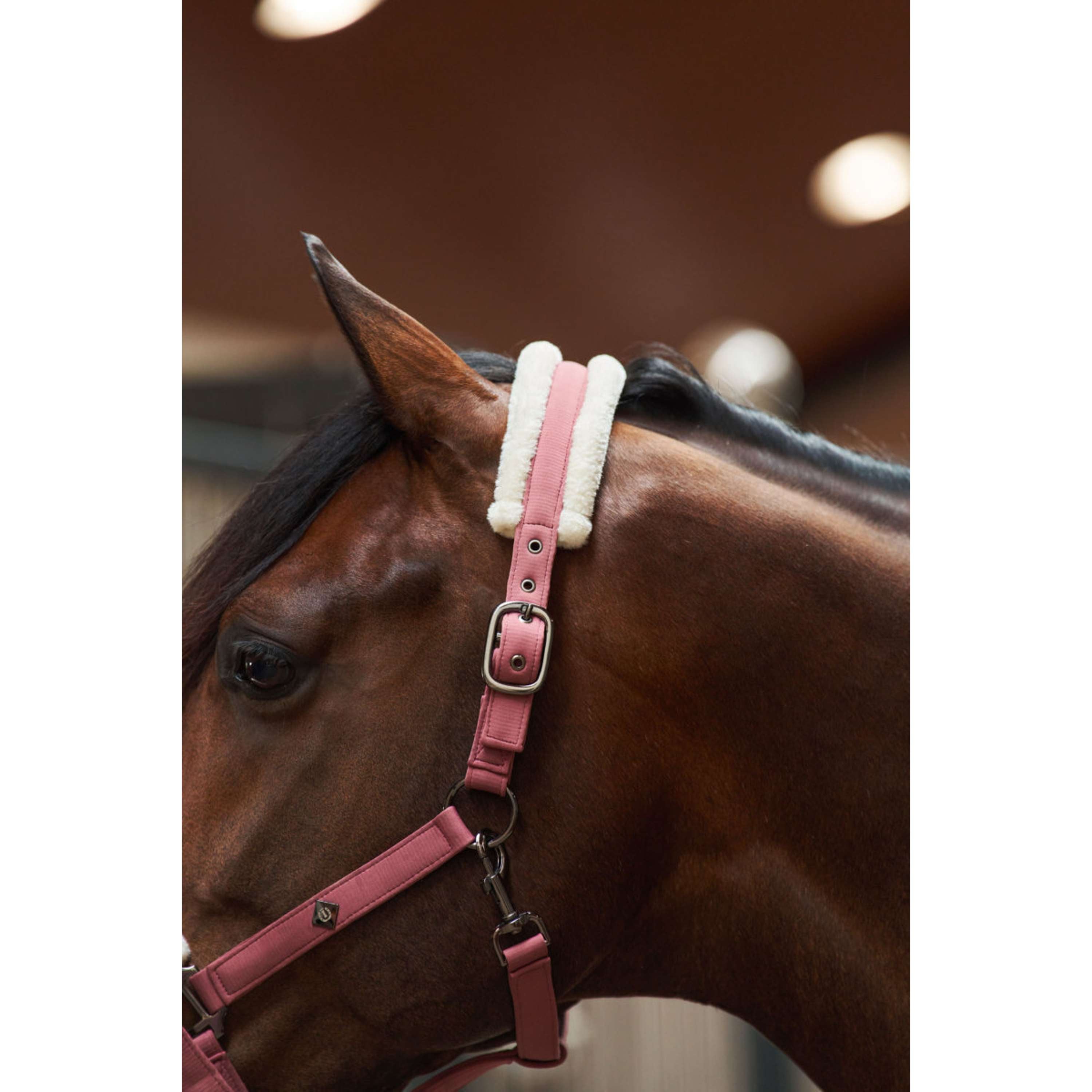 Imperial Riding Halfter IRHJewel Mauve