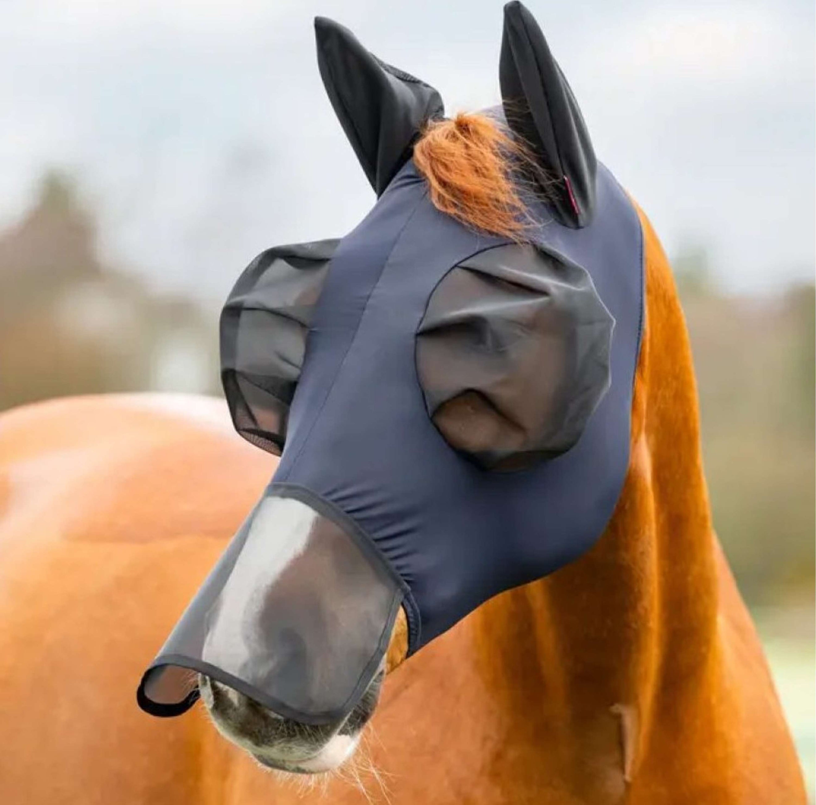 LeMieux Fliegenmaske Bug Relief Mit Nüsternschutz Navy
