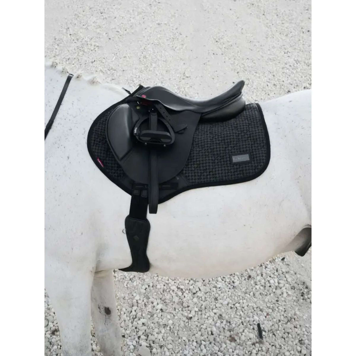 LeMieux Schabracke Aspen Springen Houndstooth