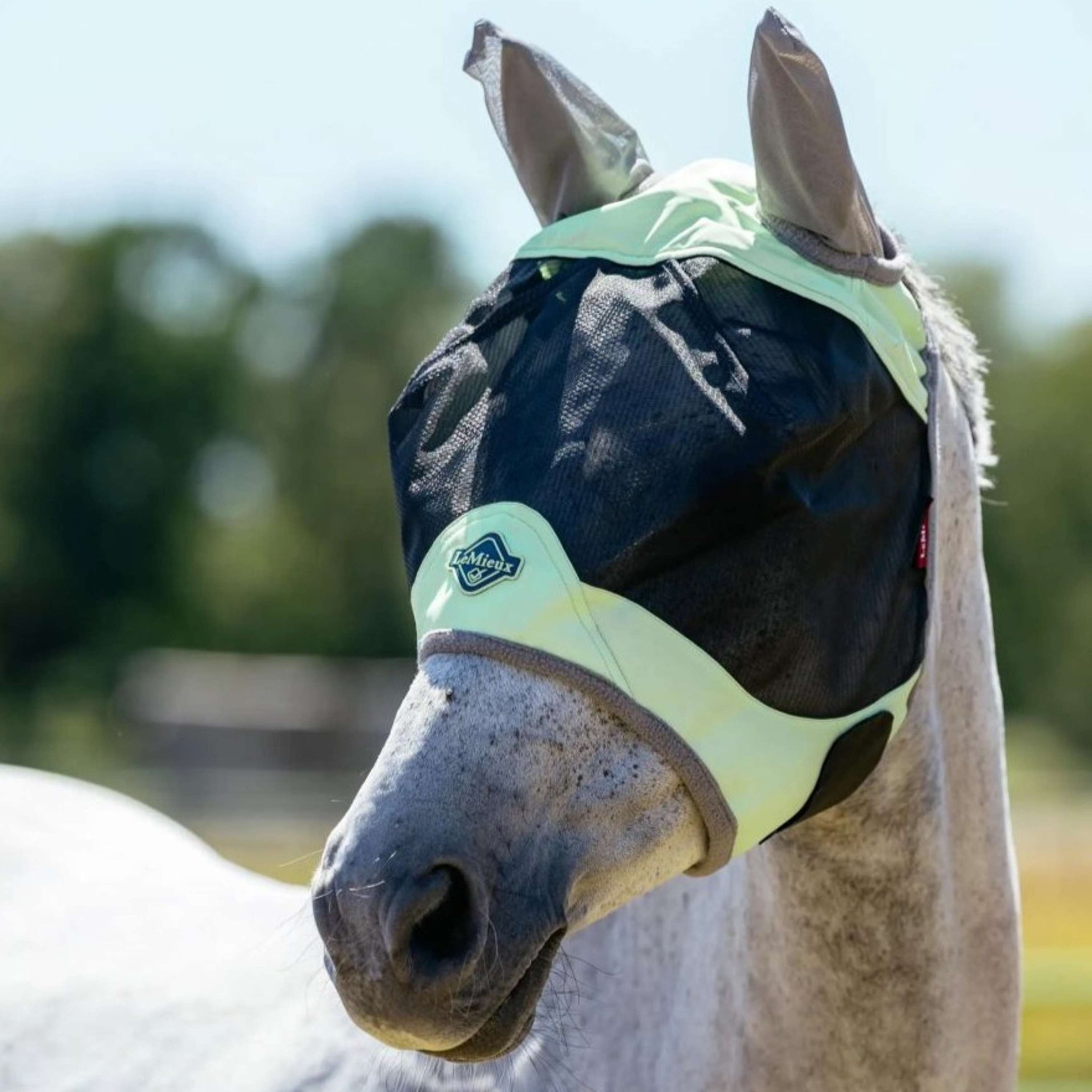 LeMieux Fliegenmaske Visor-Tek Macaron