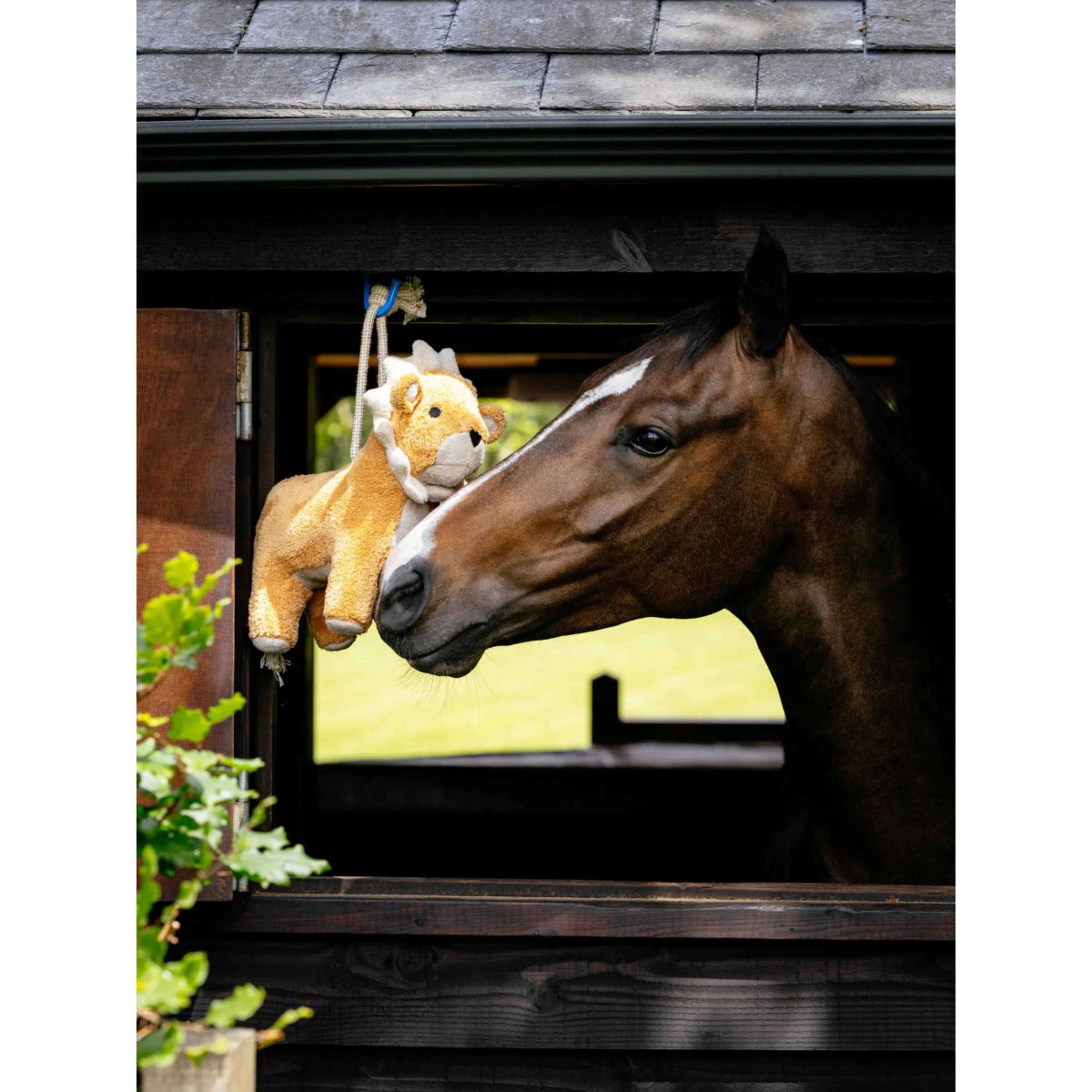 LeMieux Horse Toy Lion Orange LeMieux Horse Toy Lion Orange