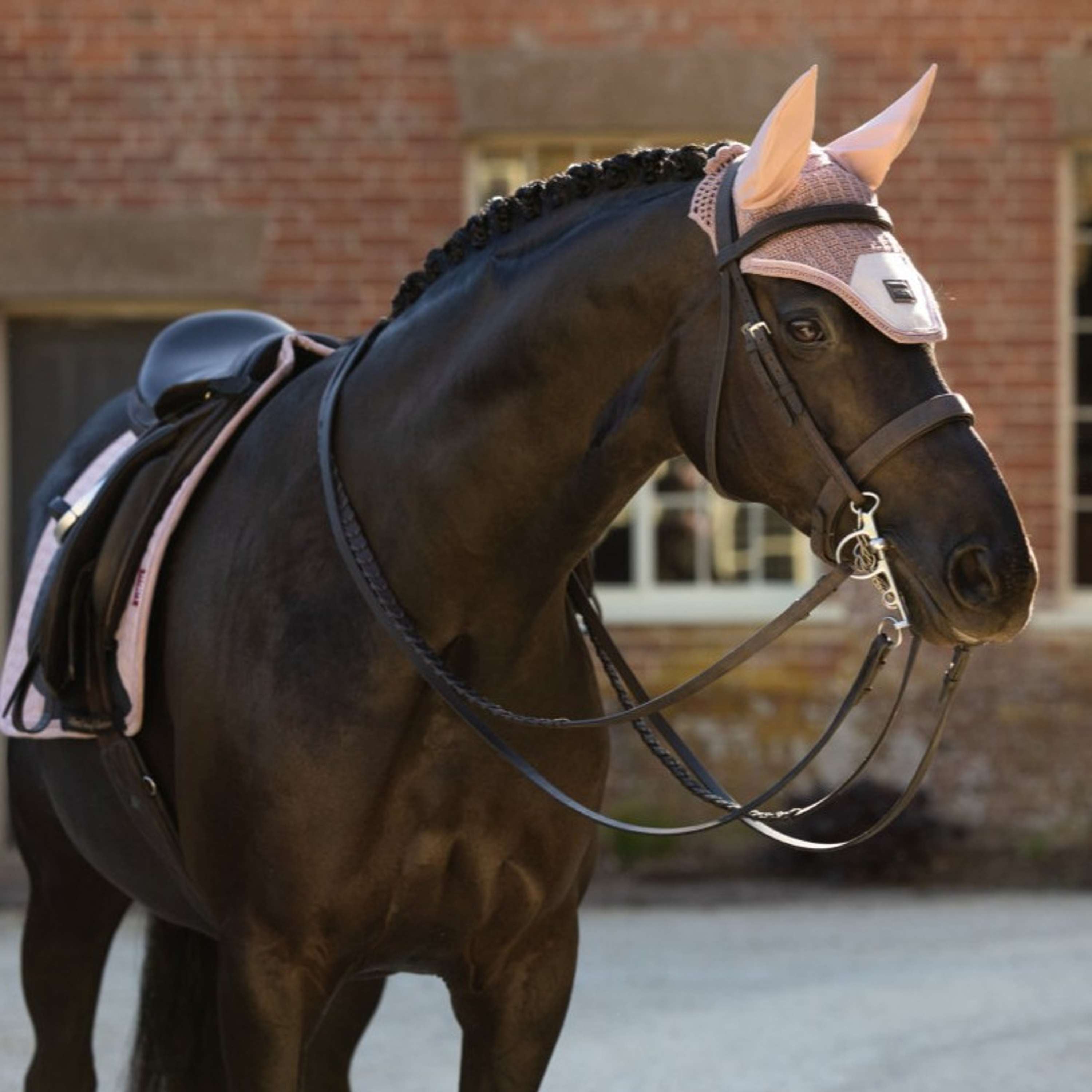 LeMieux Fliegenhaube Heritage Wild Rose
