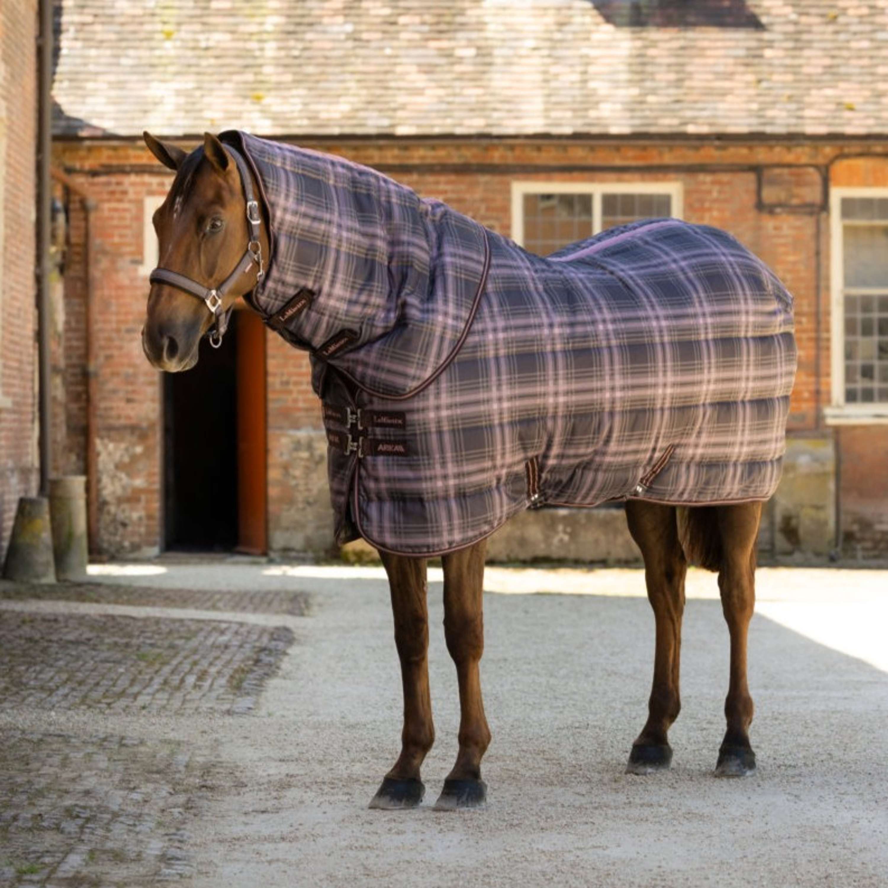 LeMieux Stalldecke Arika Heritage Check with Neck 200g Cocoa