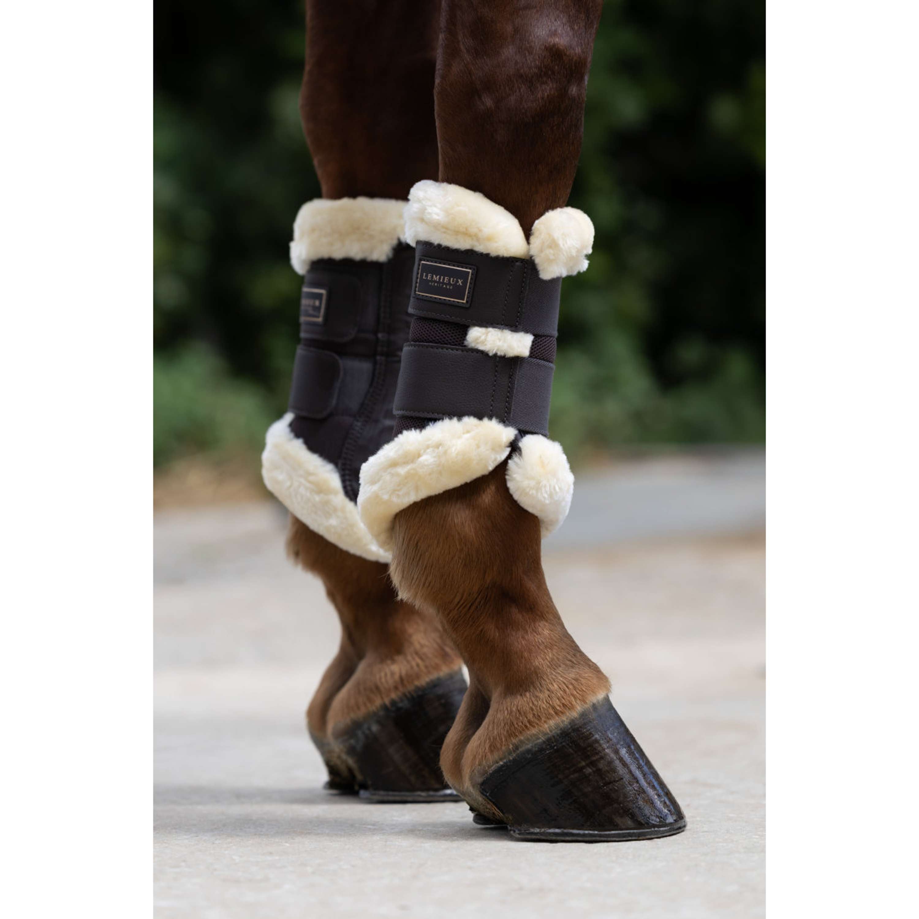 LeMieux Gamaschen Heritage Fleece Edged Cocoa