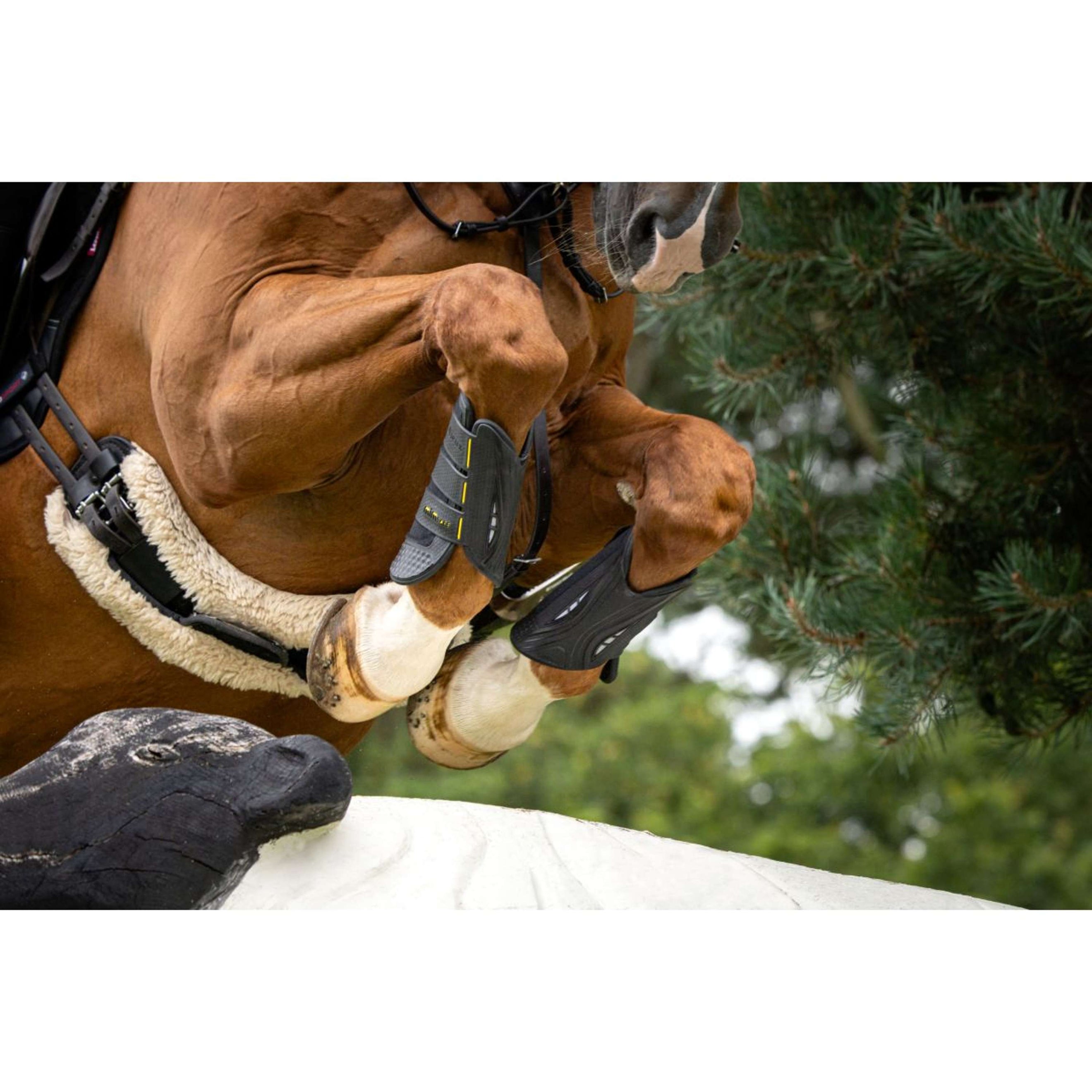 LeMieux Eventing Boots MIMsafe Für Schwarz LeMieux Eventing Boots MIMsafe Für Schwarz