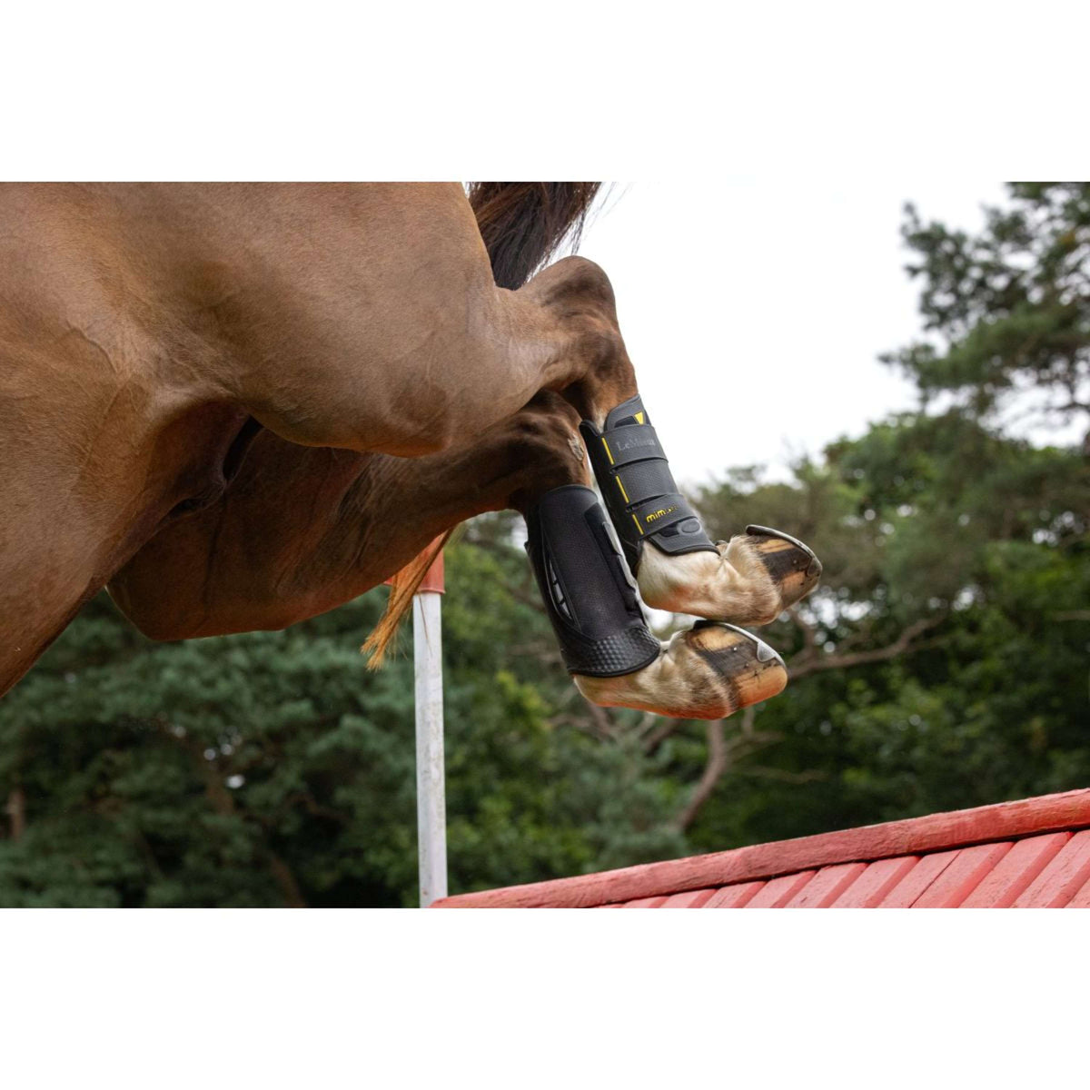 LeMieux Eventing Boots MIMsafe Hinter Schwarz