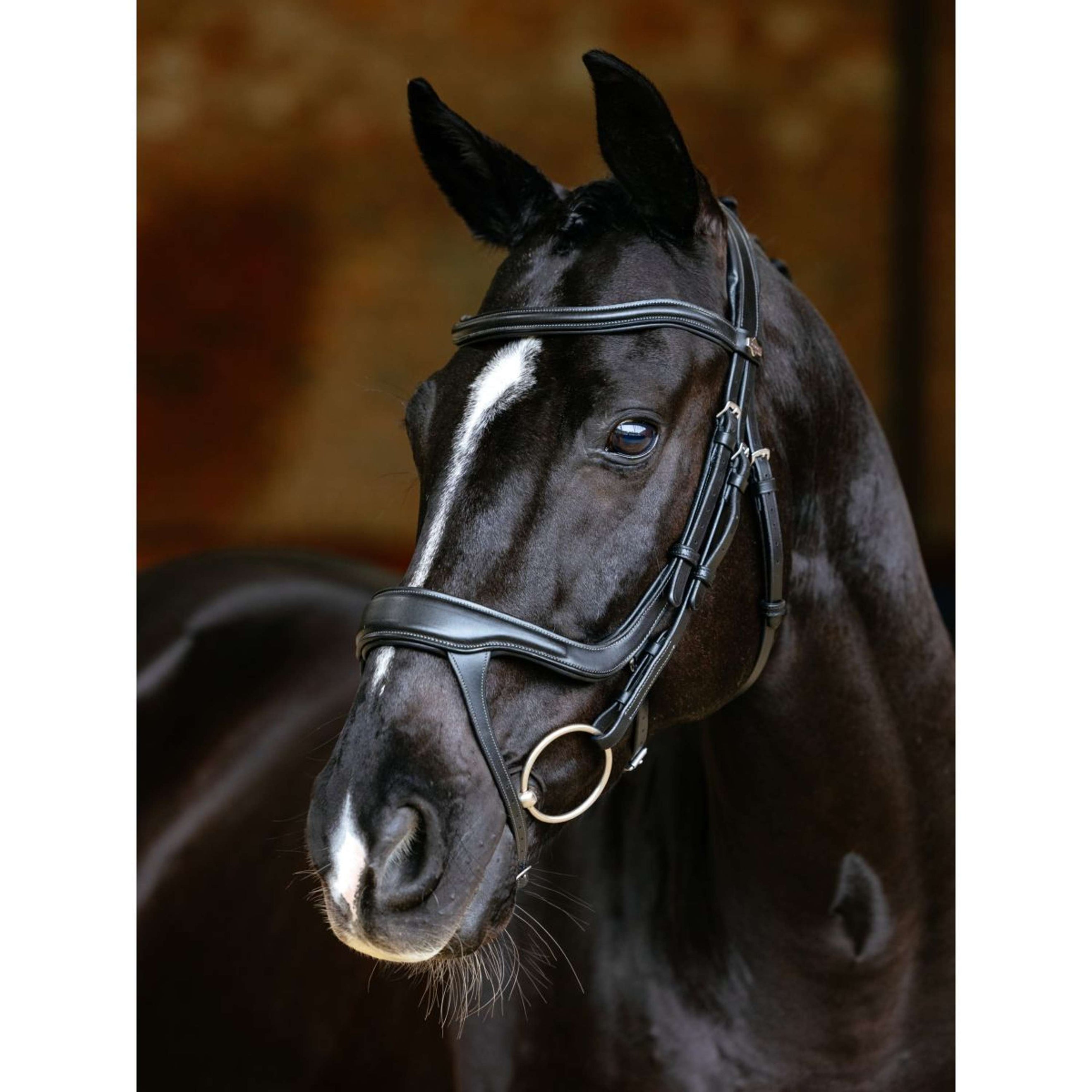 LeMieux Zaum Arika Split Noseband Schwarz