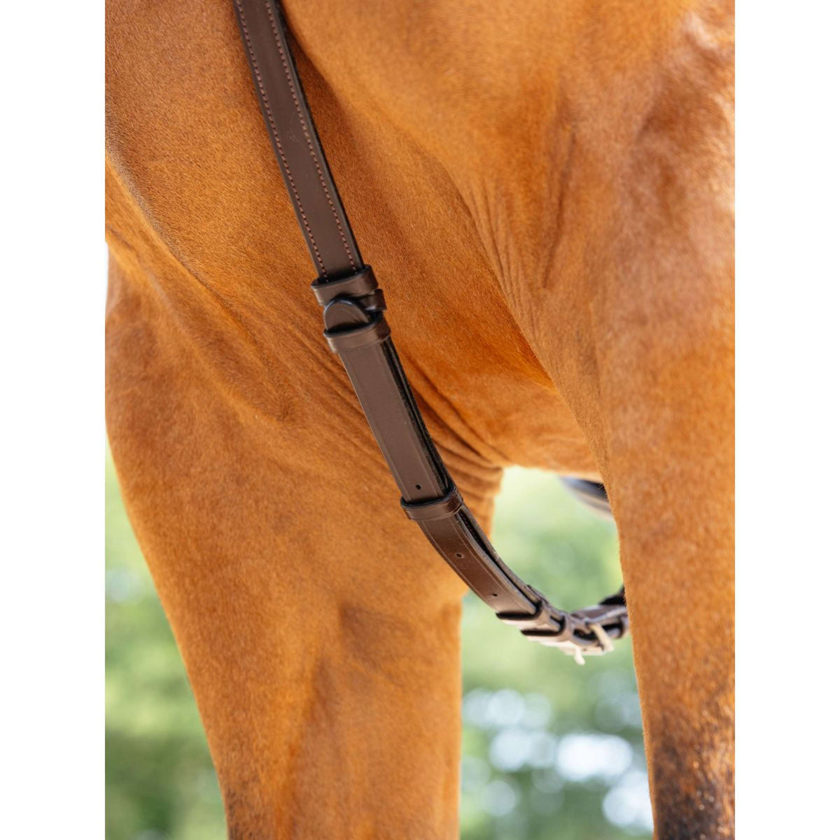 LeMieux Brustgeschirr Kudos Bridge Havanna