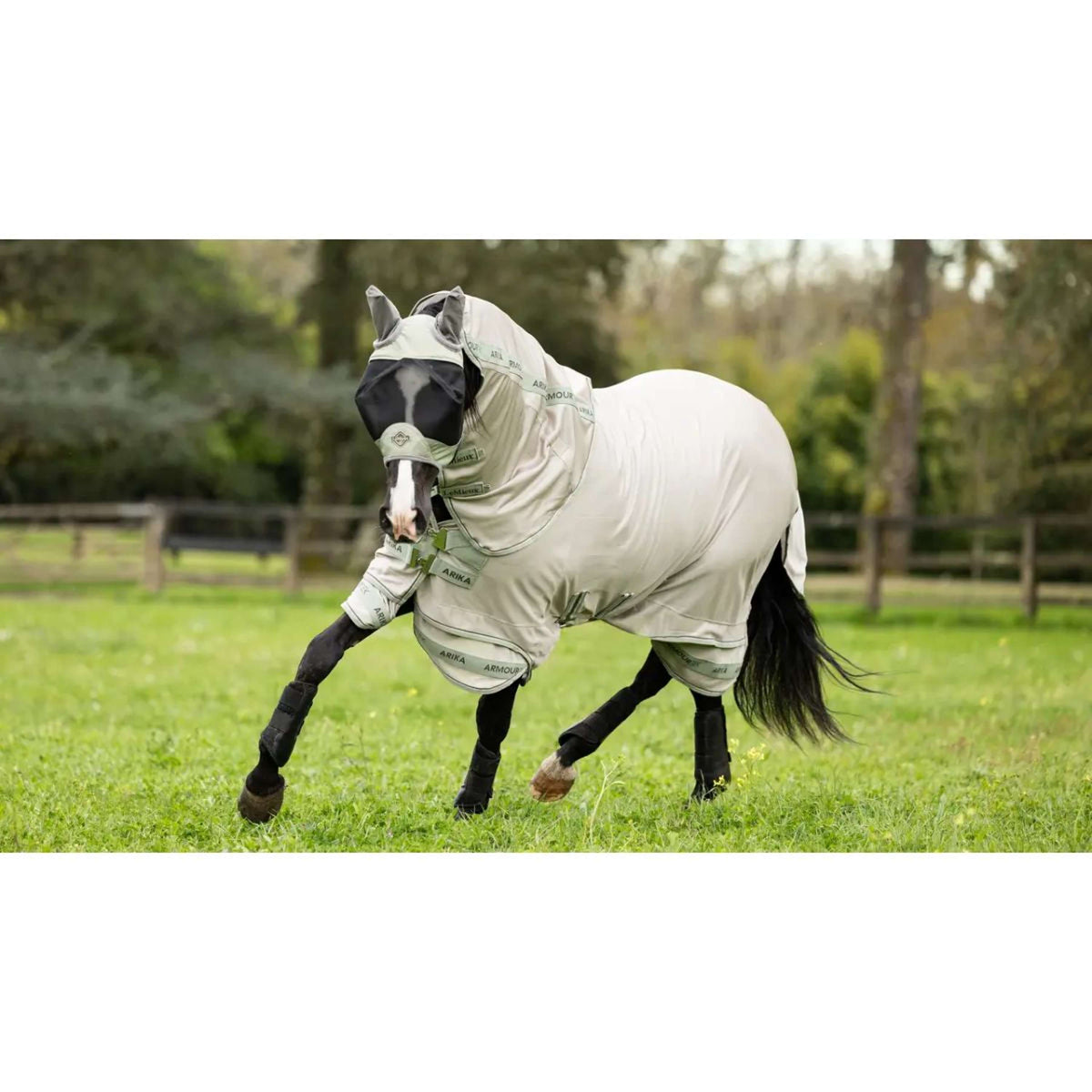 LeMieux Fliegendecke Arika Armour-Tek SS25 Stone/Fern