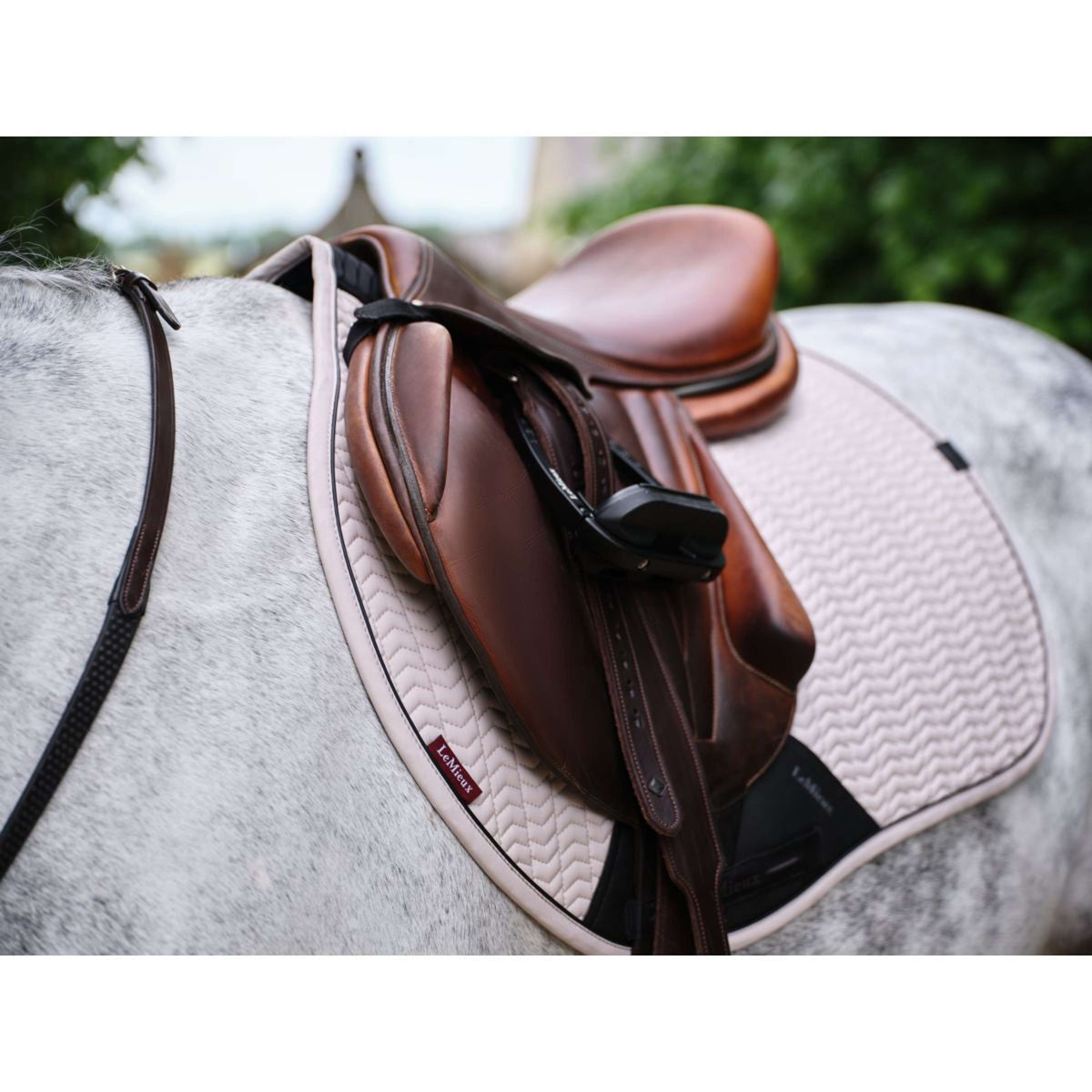 LeMieux Schabracke Essence Springen Stein