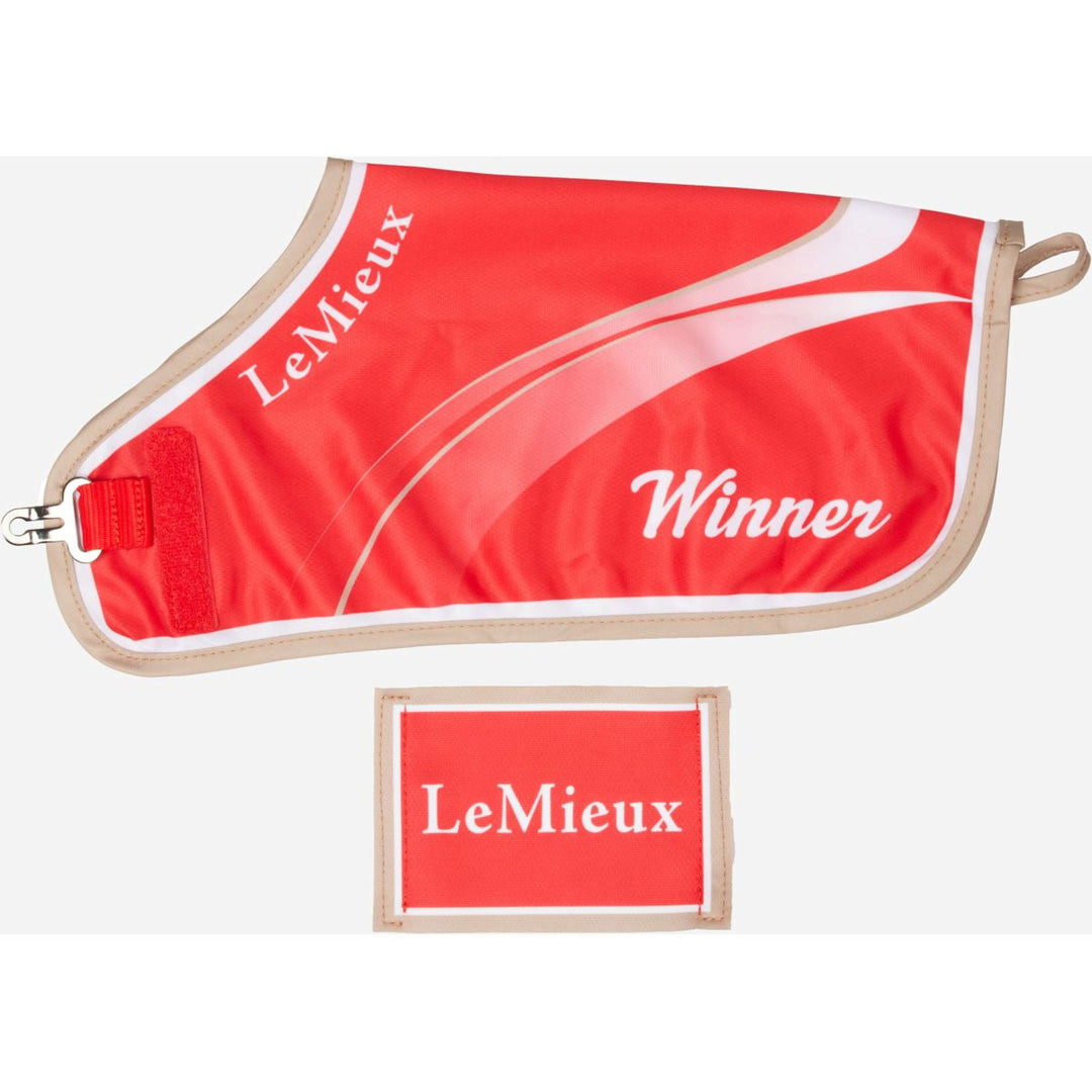 Lemieux Winner Red Toy Pony Rug main image 1