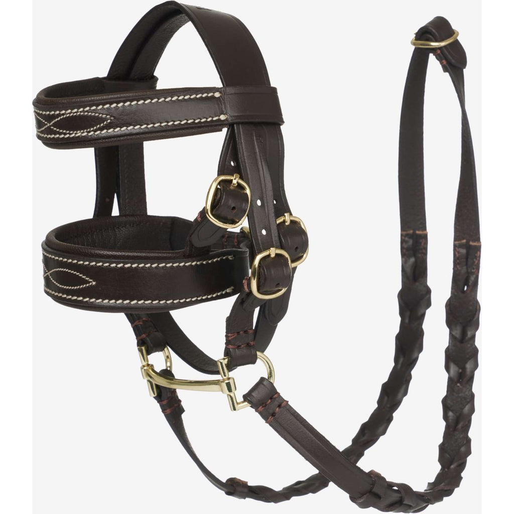 LeMieux Toy Pony Hunter Zaum Braun