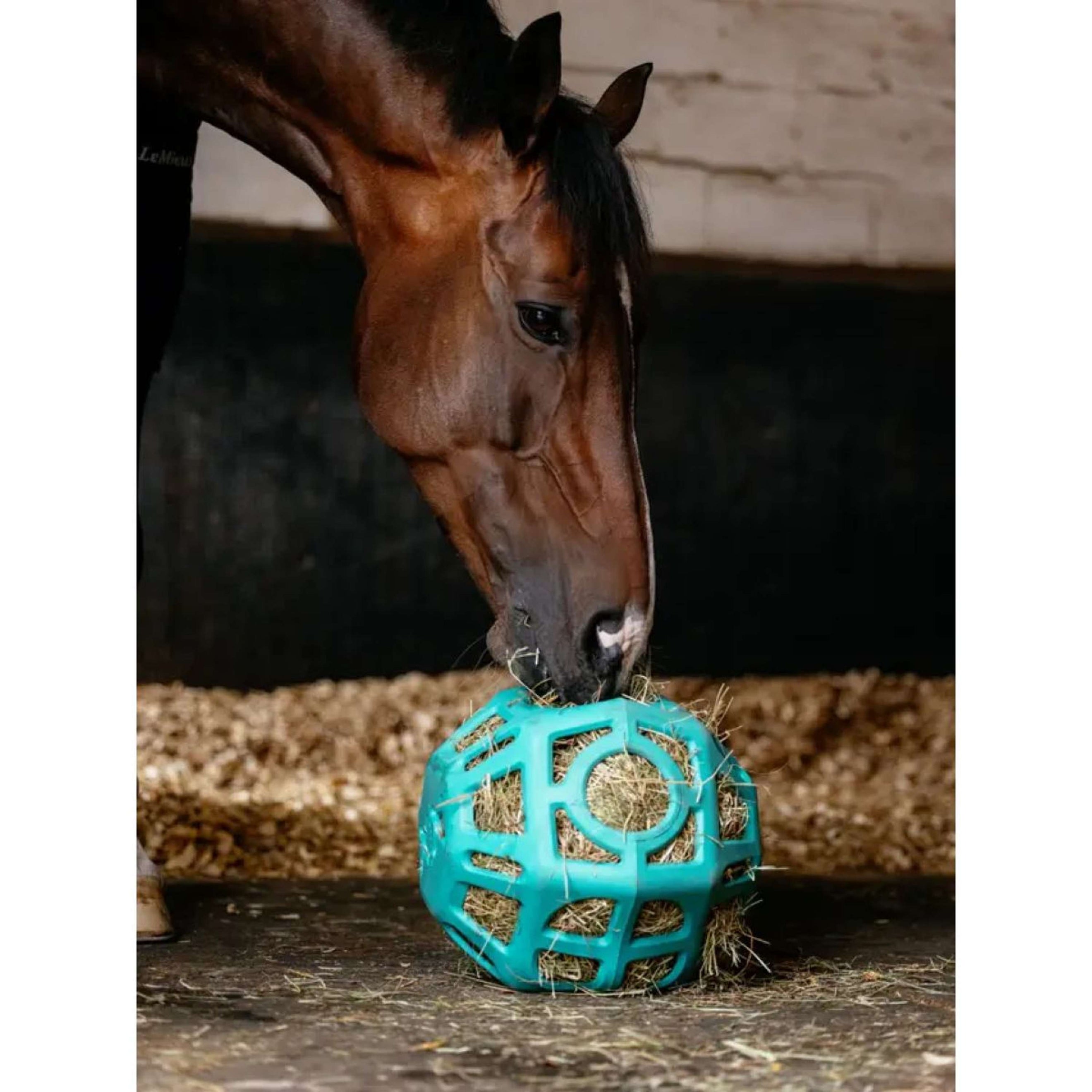 LeMieux Spielball Hay Lagoon LeMieux Spielball Hay Lagoon