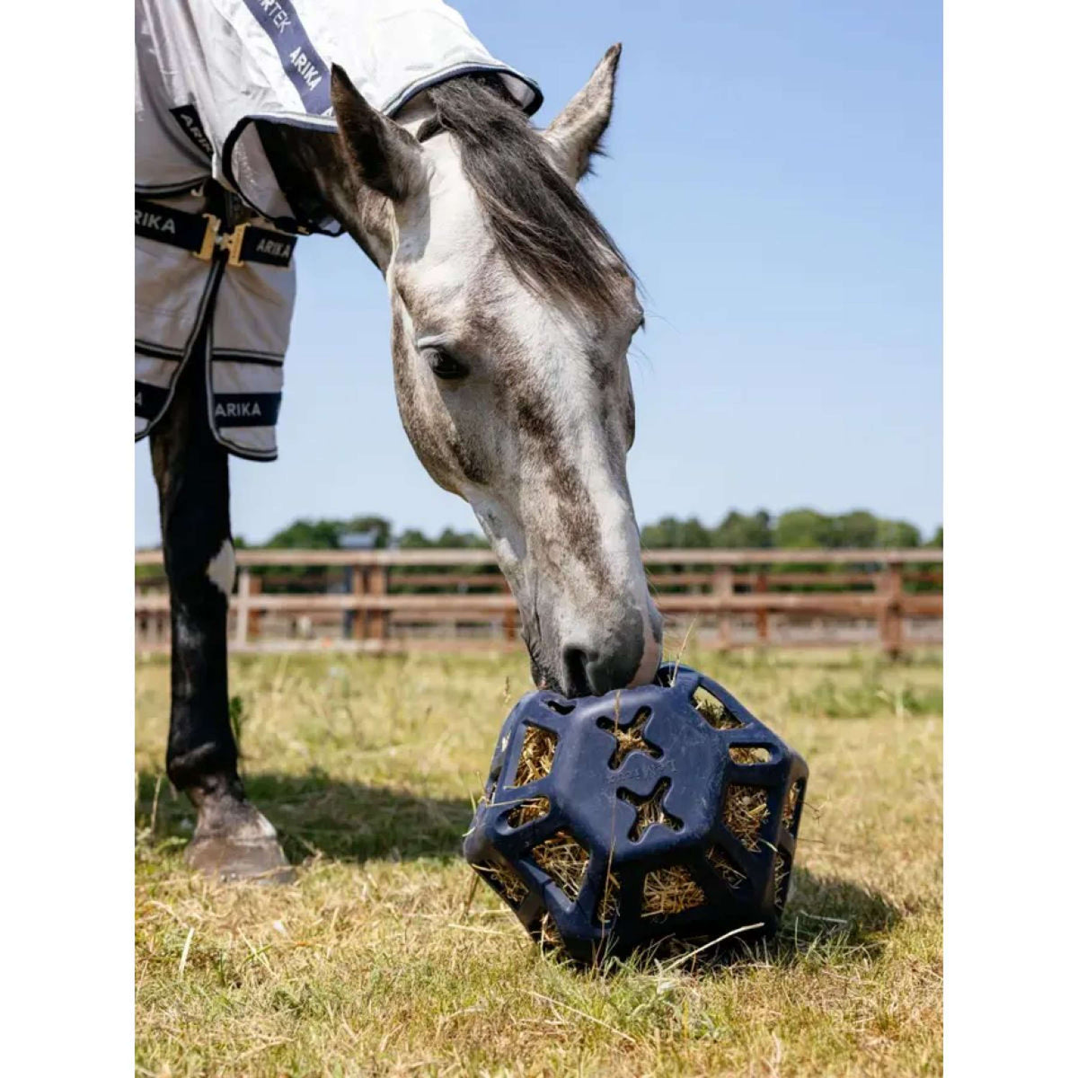 LeMieux Spielball Hay Navy