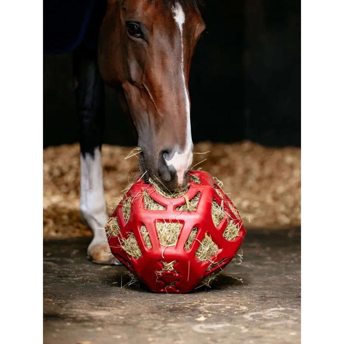 LeMieux Spielball Hay Chilli