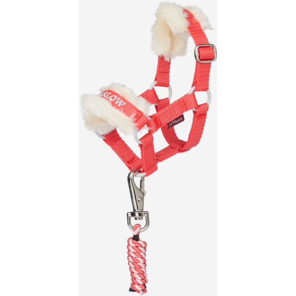 LeMieux Toy Pony Halfter Coral Crush