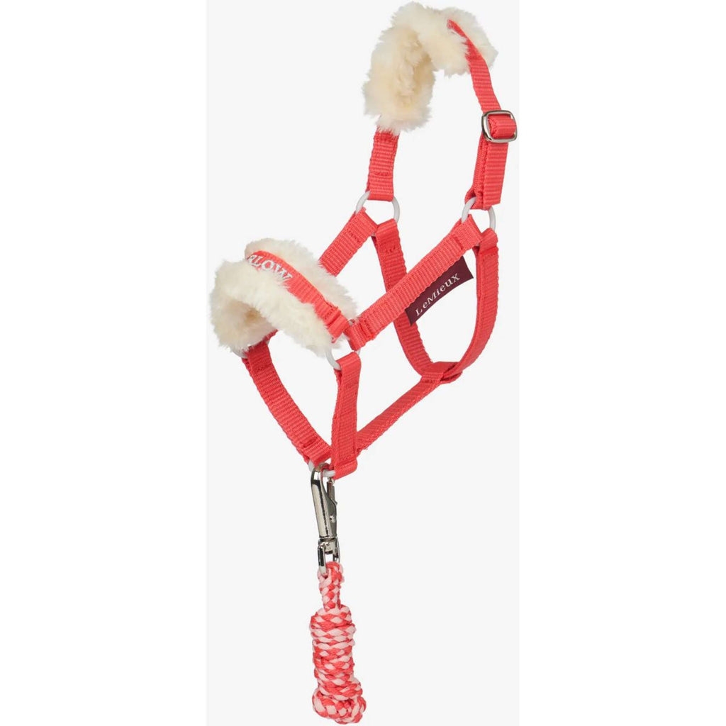 LeMieux Hobby Horse Halfter Coral Crush
