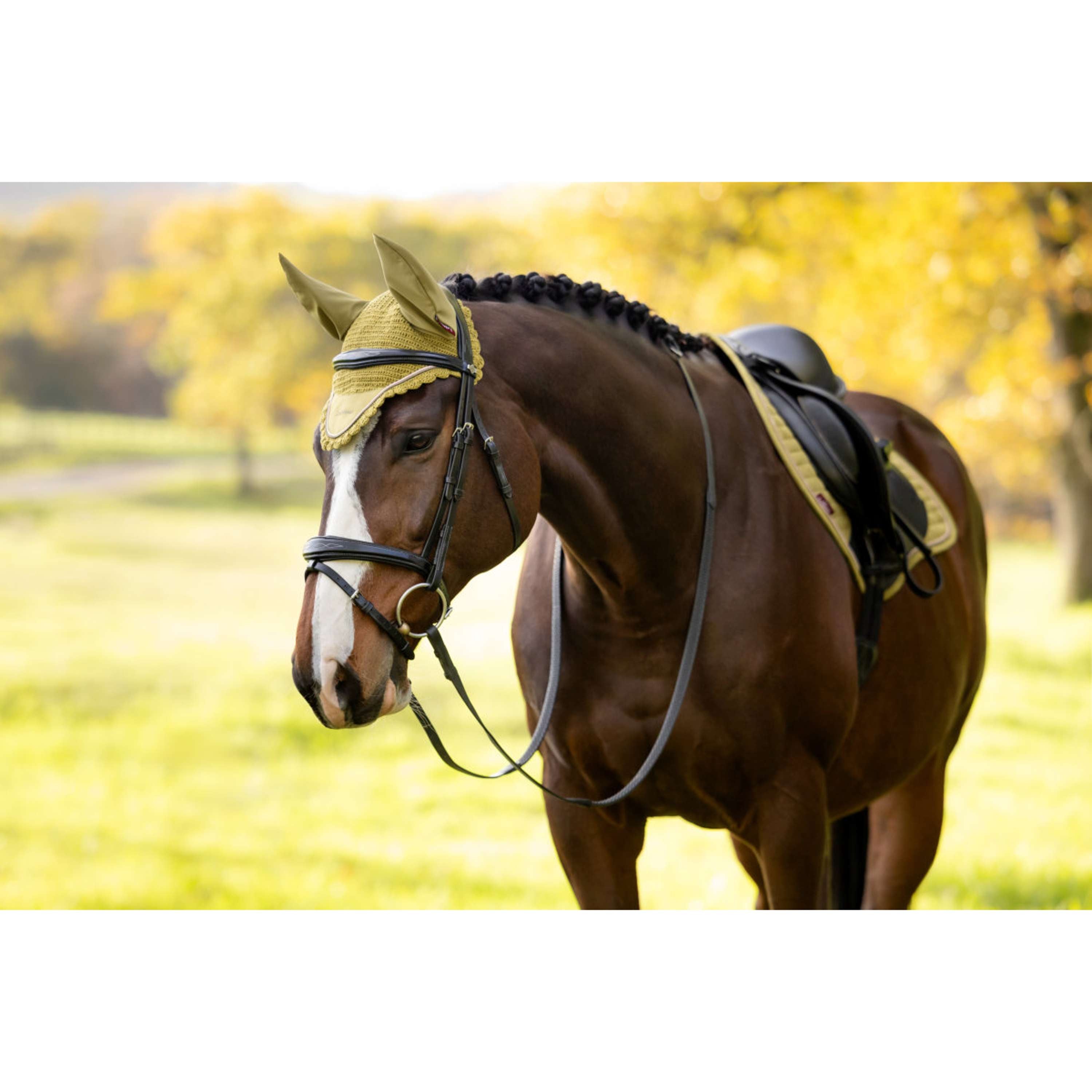 LeMieux Fliegenhaube Classique Gooseberry