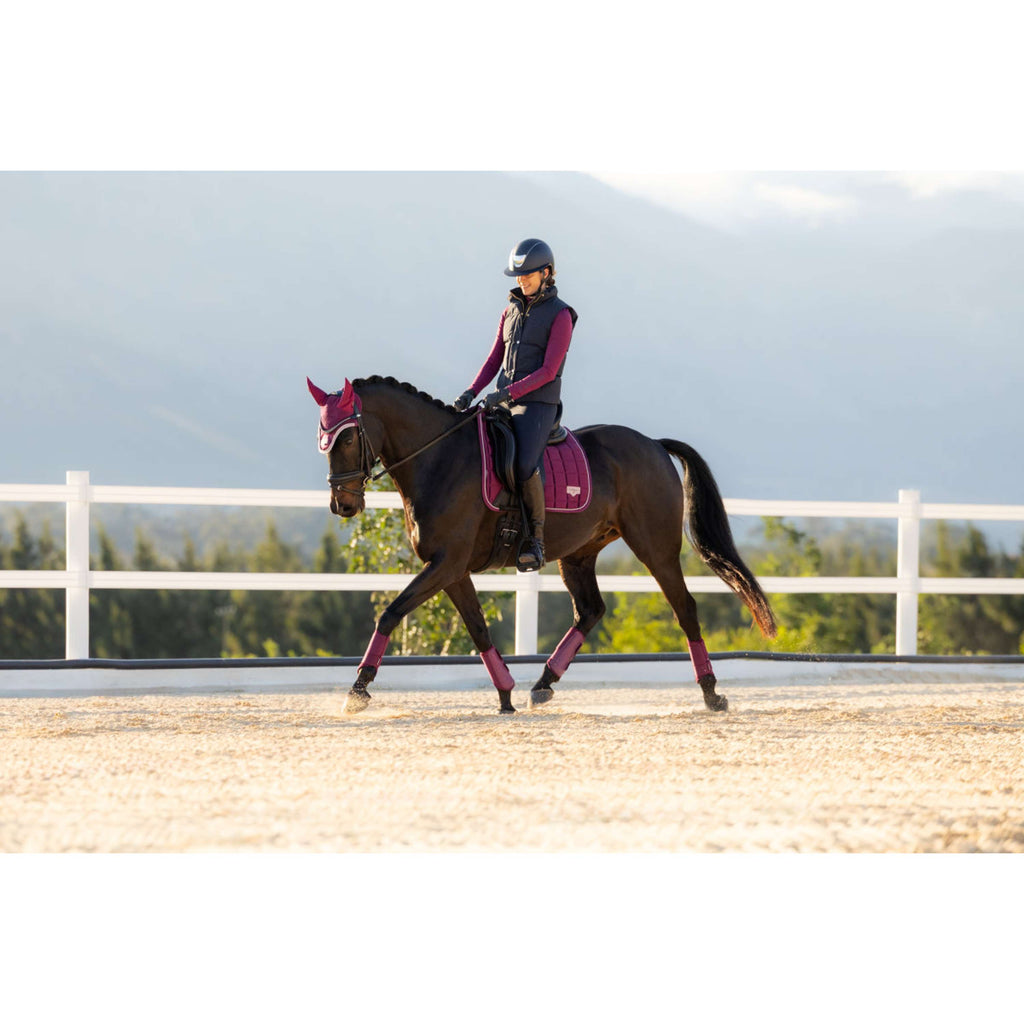 LeMieux Schabracke Loire Classic Square Dressur Blackberry