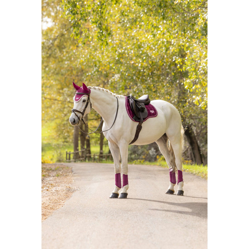 LeMieux Schabracke Loire Classic Square Vielseitigkeit Blackberry