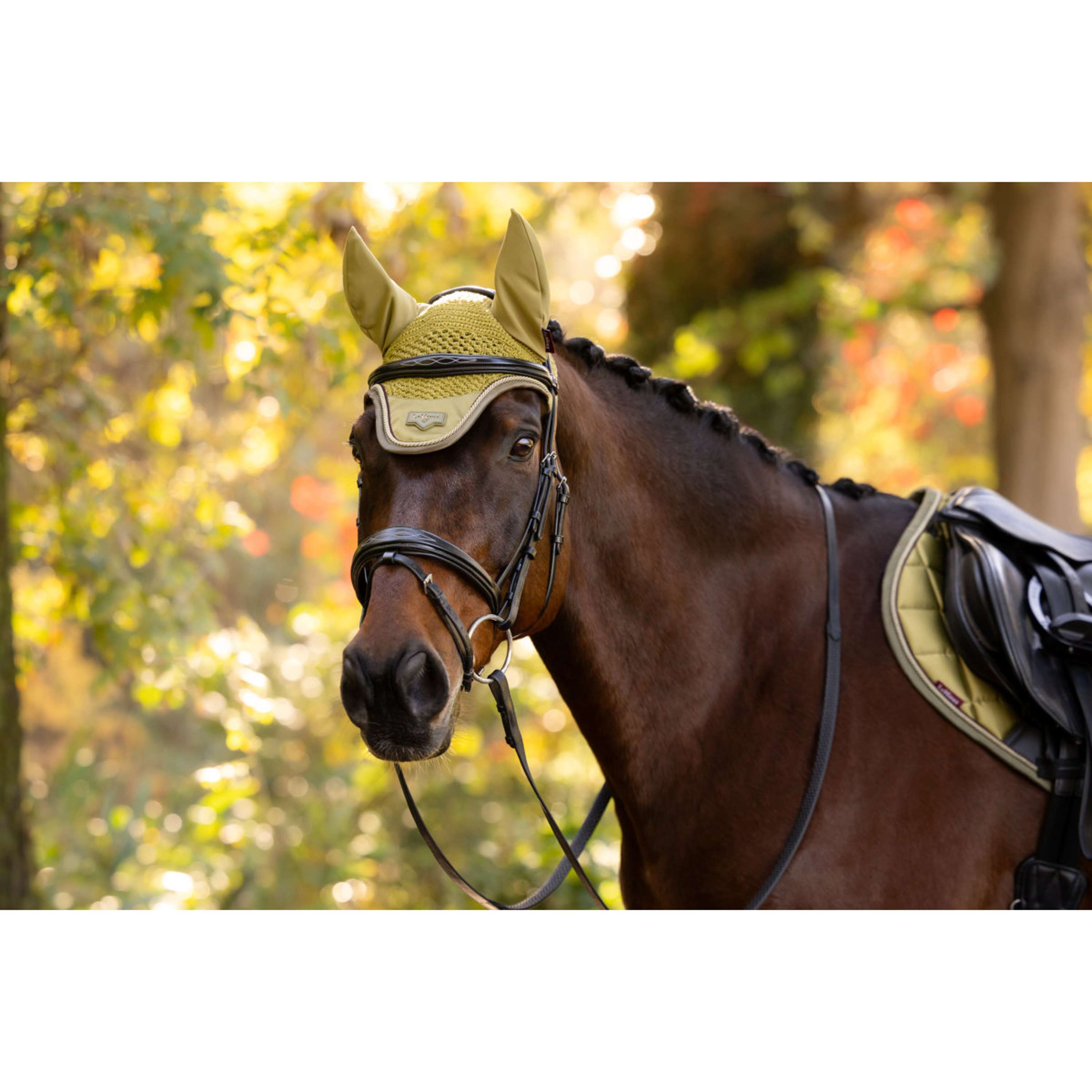 LeMieux Fliegenhaube Loire Gooseberry