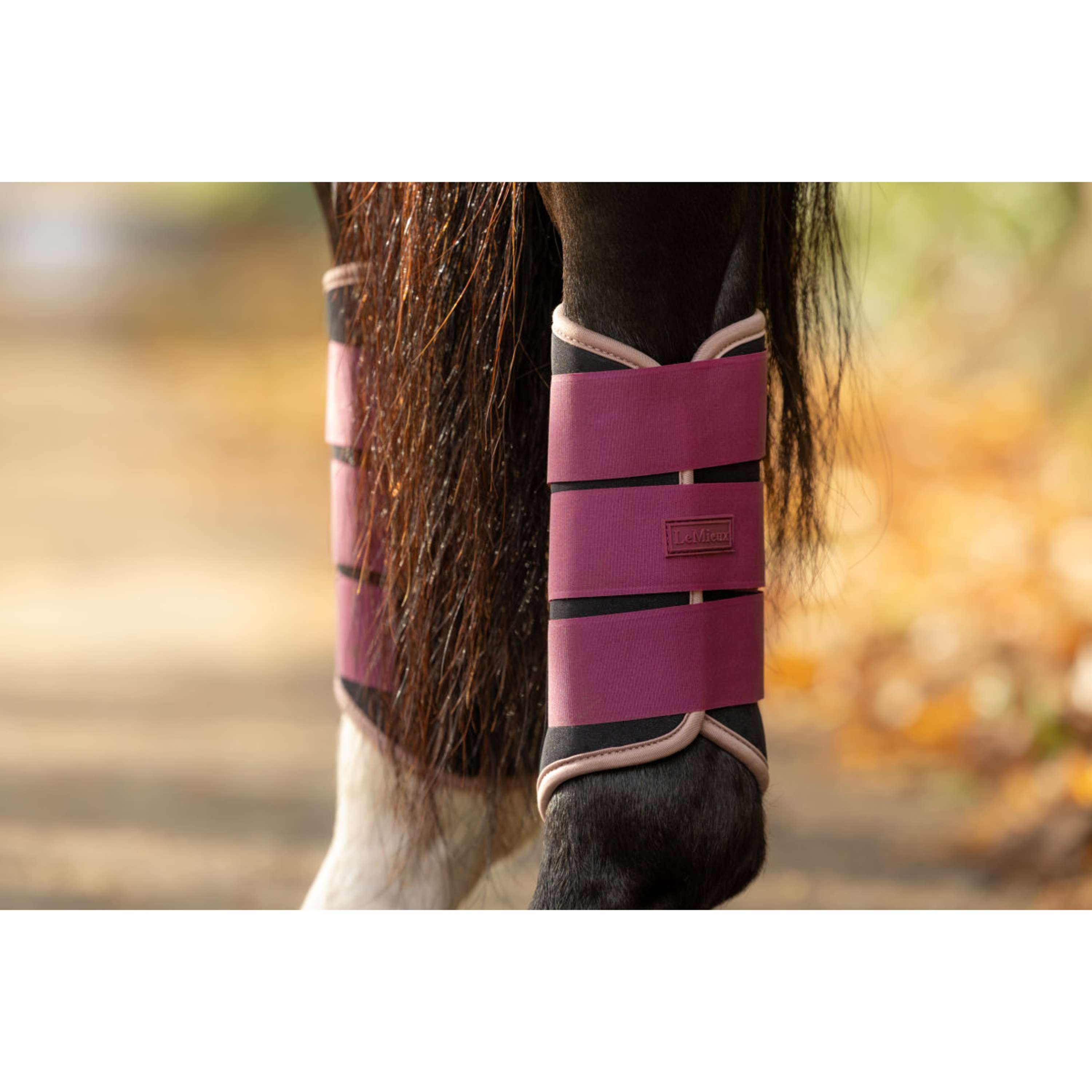LeMieux Gamaschen Air-Tek Grafter Blackberry