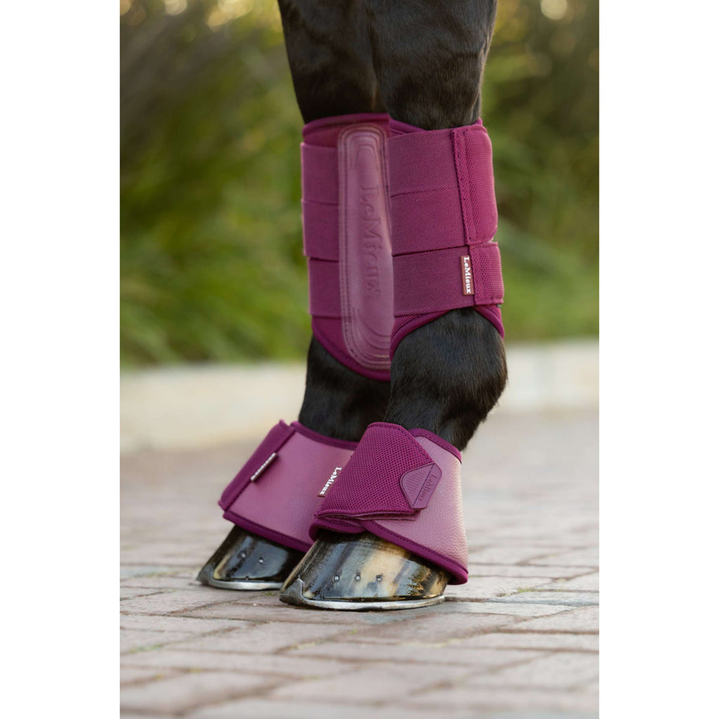 LeMieux Hufglocken Arika Blackberry