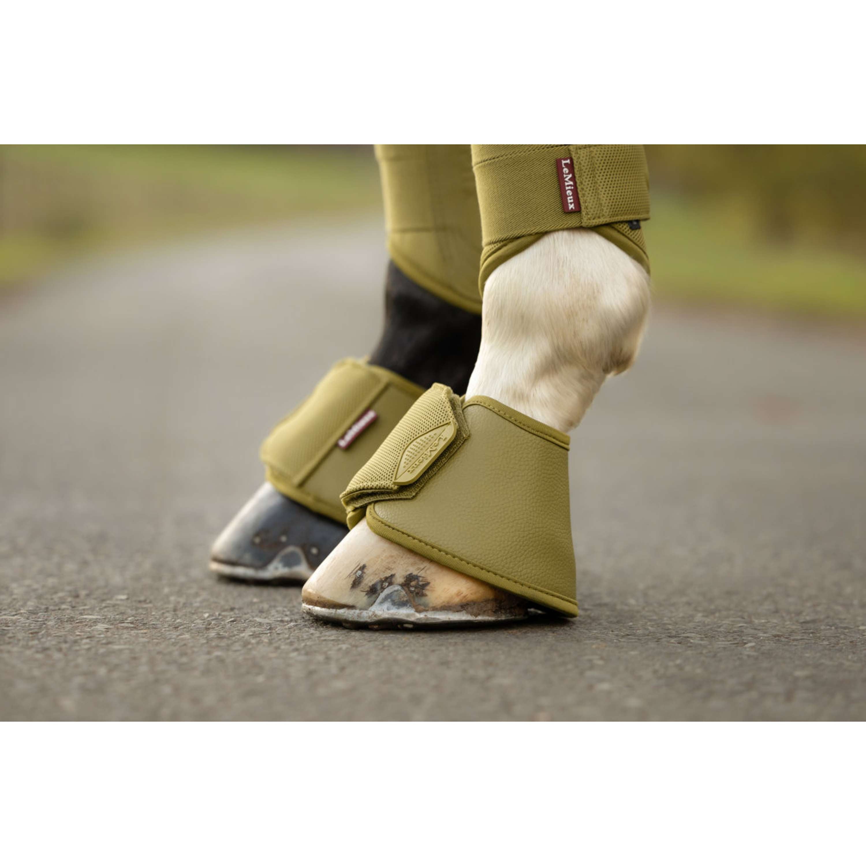 LeMieux Hufglocken Arika Gooseberry
