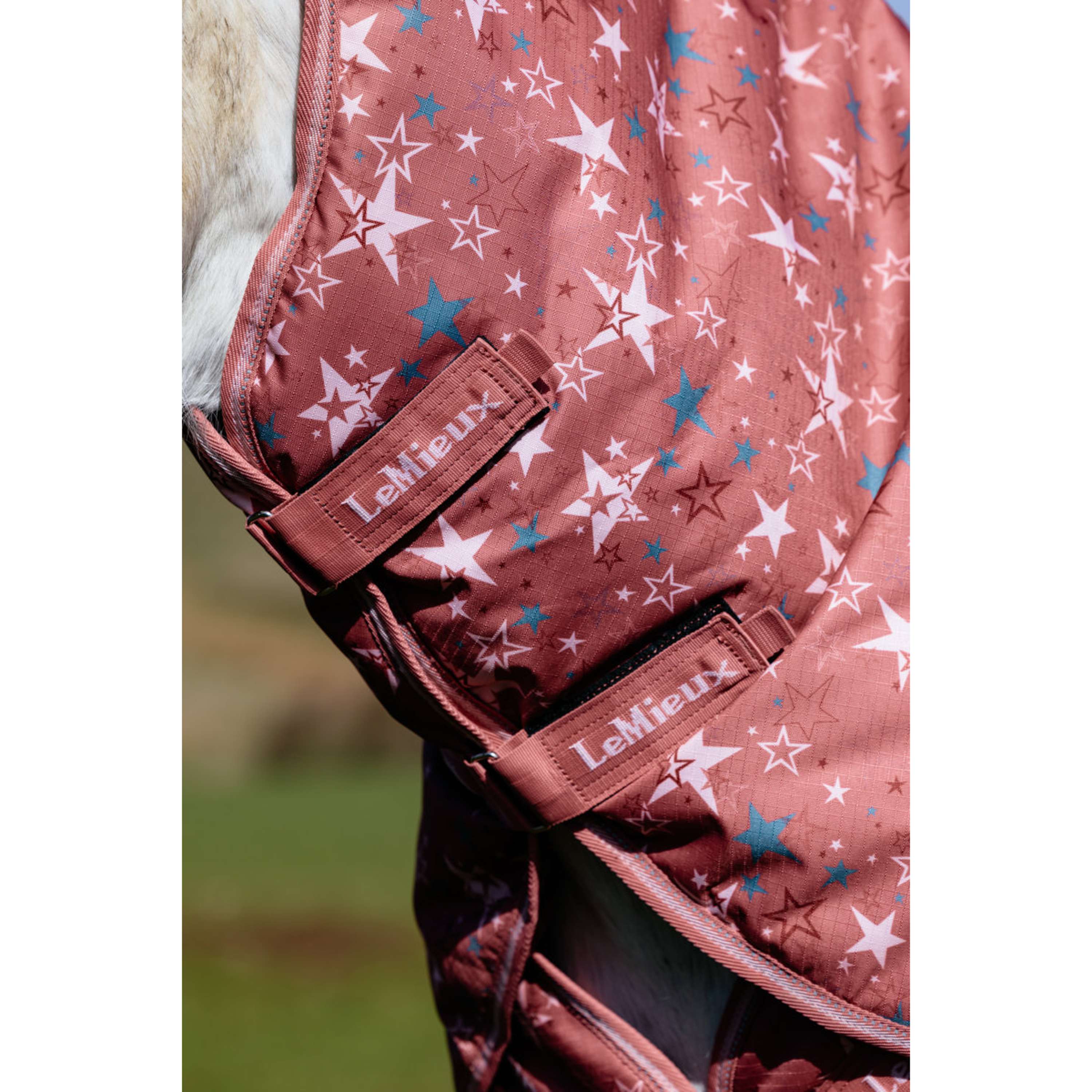 LeMieux Regendecke Arika Star 0g Spiced Earth
