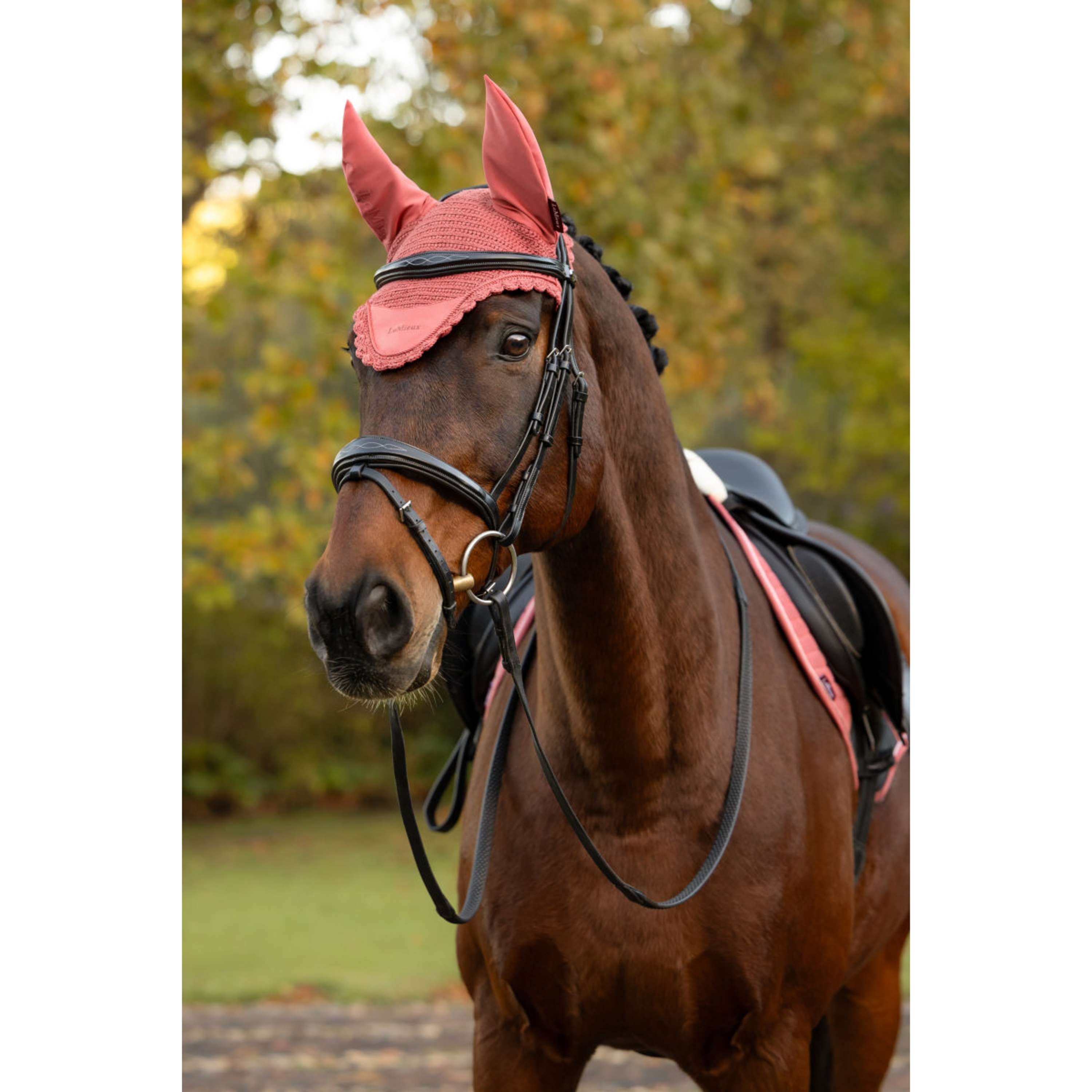 LeMieux Fliegenhaube Classique Spiced Earth