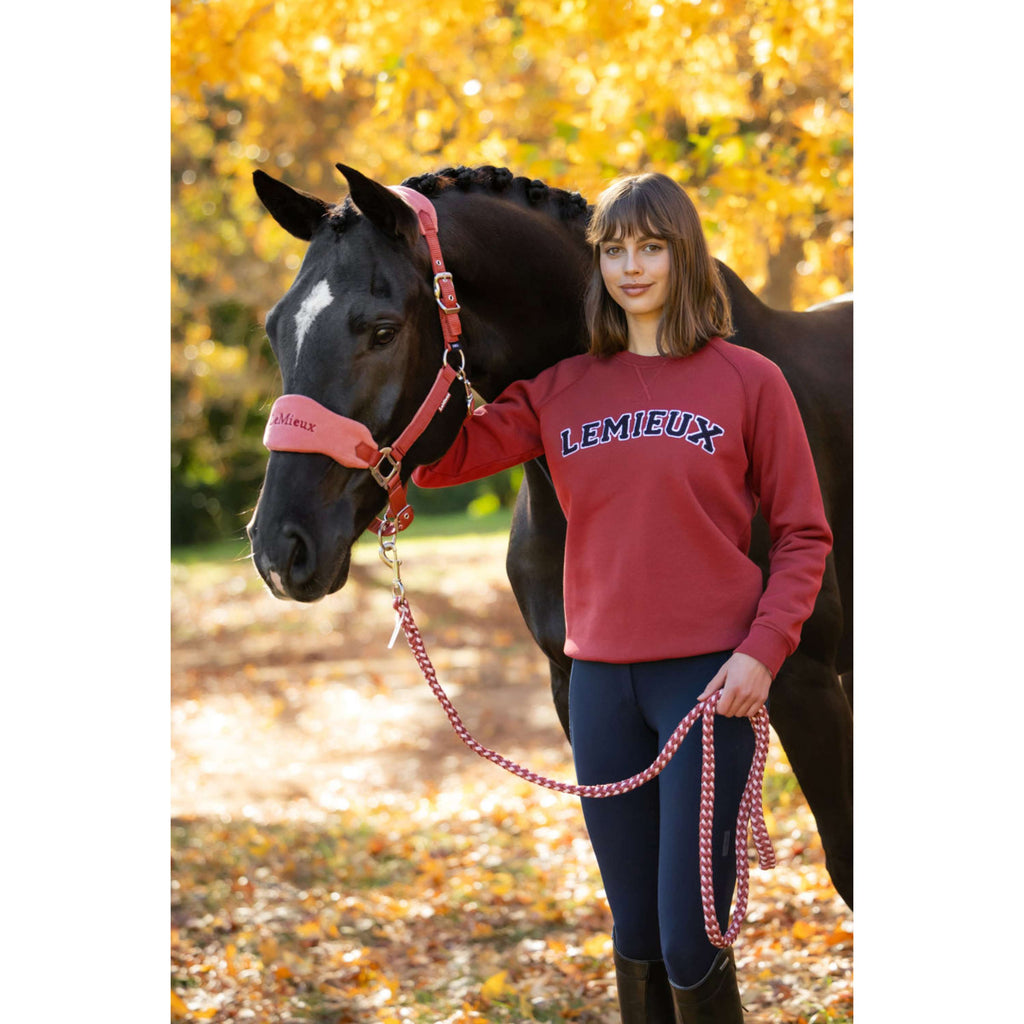 LeMieux Pullover Vida Varsity Crew Neck Russet