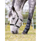 LeMieux Halfter Break Away Schwarz