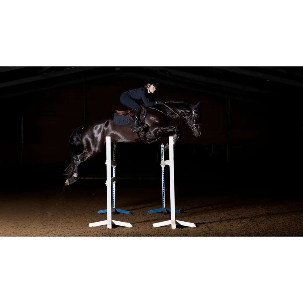 LeMieux Schabracke ProForm Springen Navy