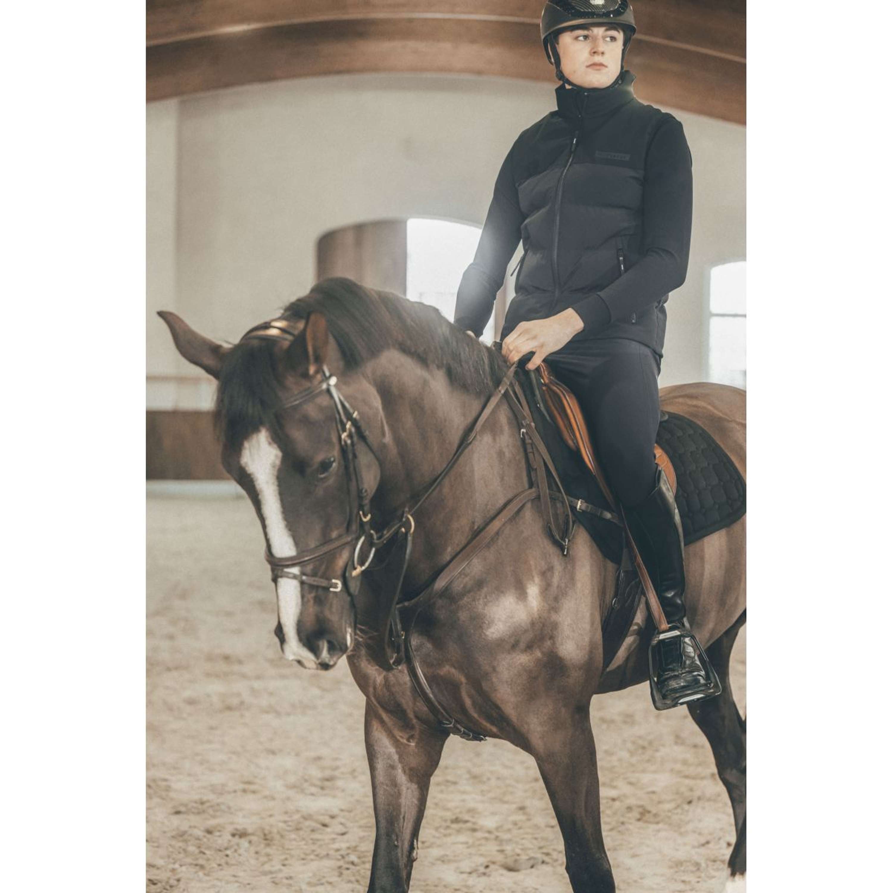 Pikeur Weste Quilted Athleisure AW26 Herren Schwarz