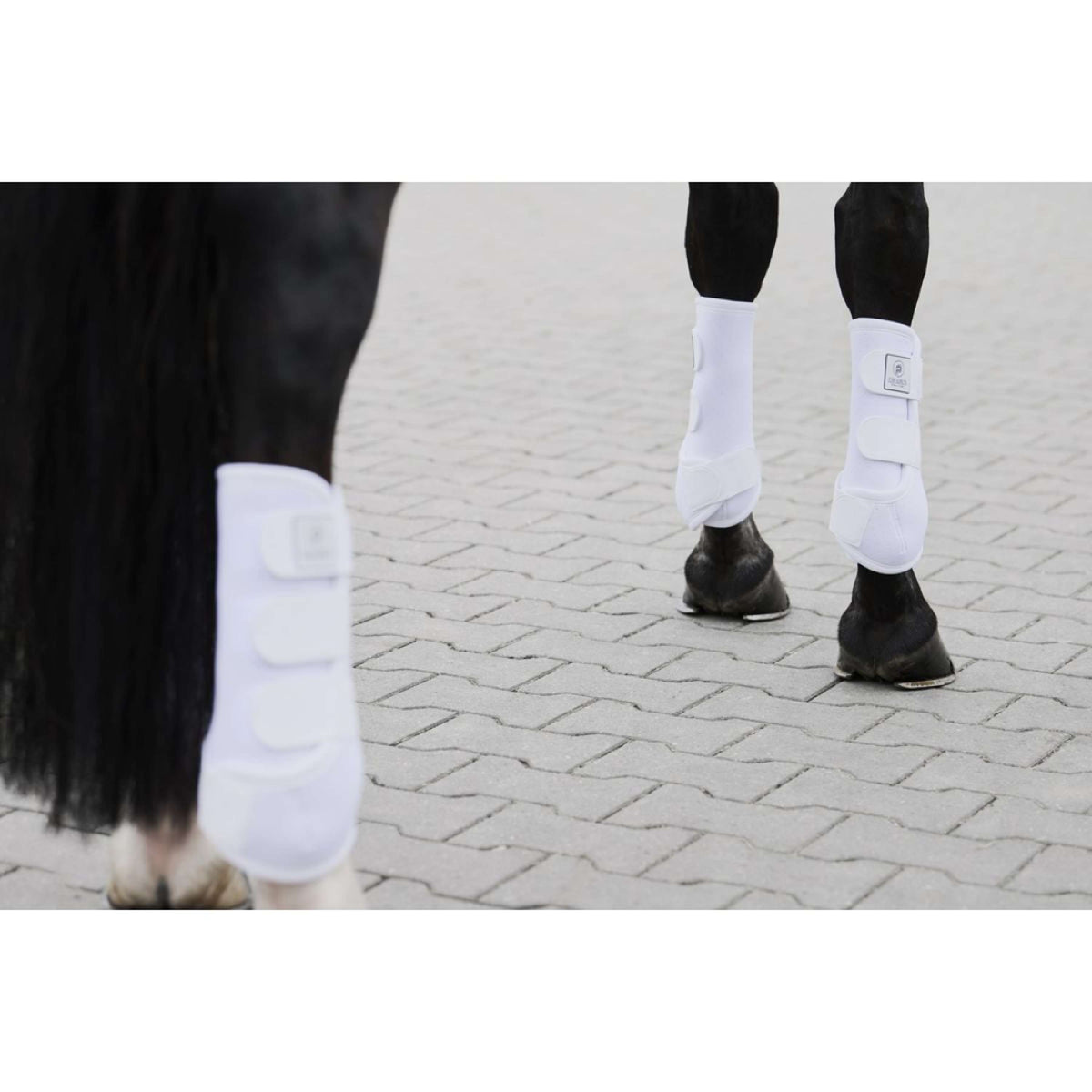 Eskadron Flextrainers Platinum Pro Dressage Hinter Weiß