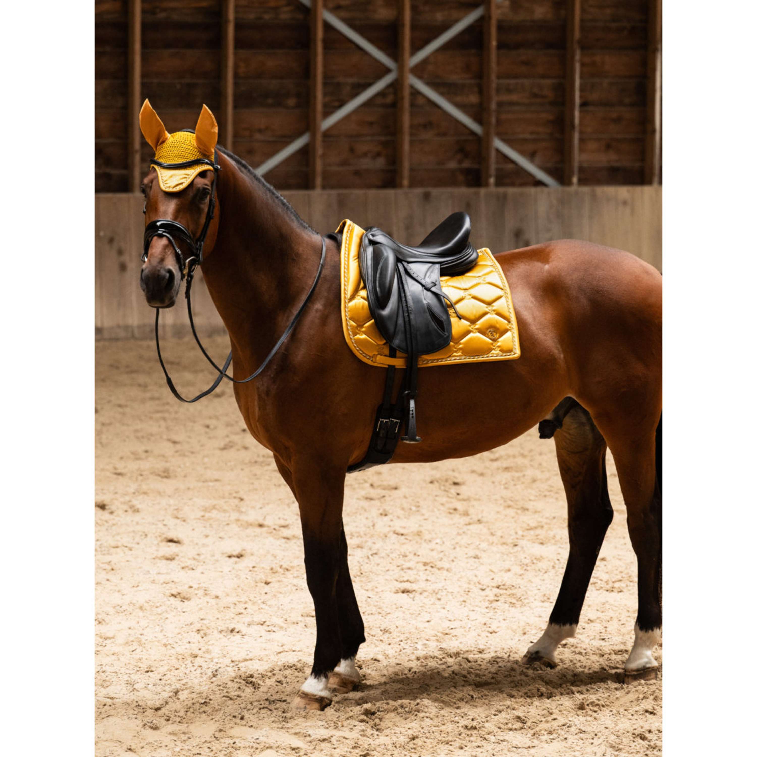 PS of Sweden Schabracke Signature Dressur Old Gold