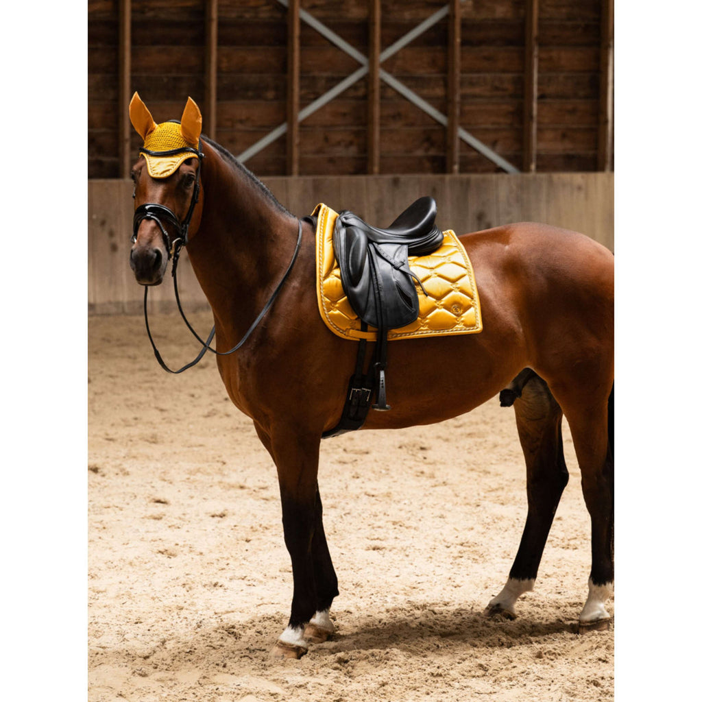 PS of Sweden Schabracke Signature Dressur Old Gold