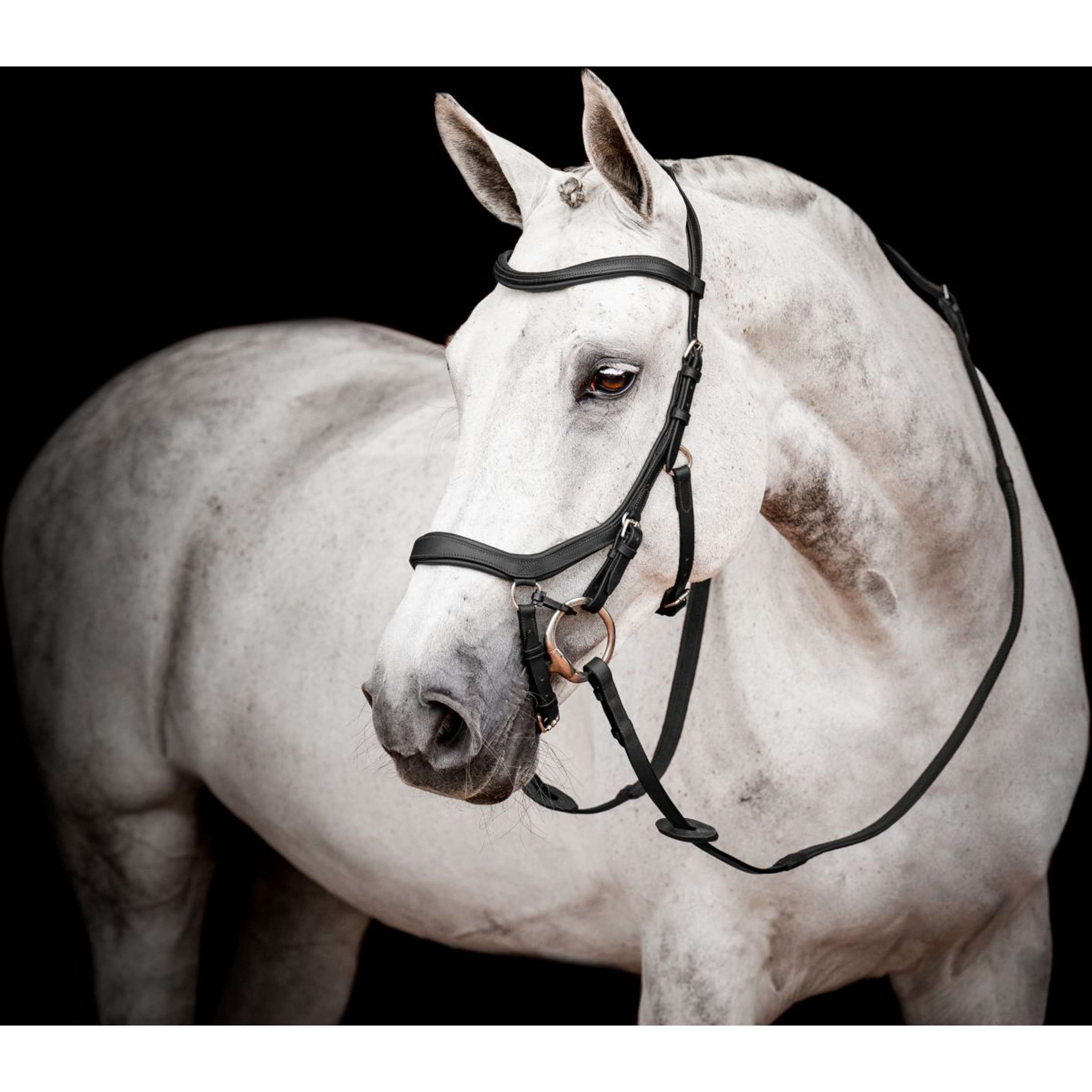 Rambo Micklem Competition Bridle New Schwarz