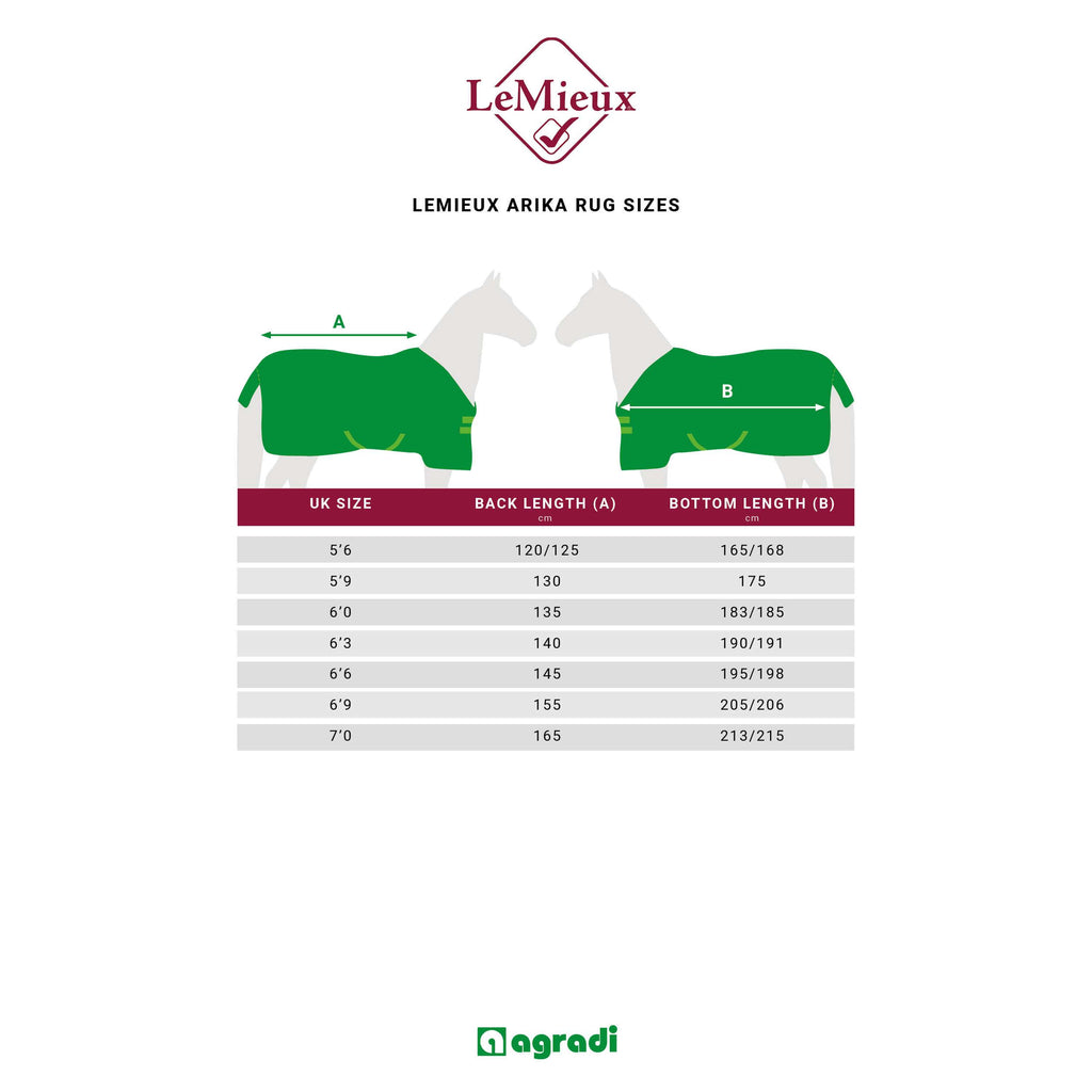 LeMieux Fliegendecke Arika Armour-Tek SS25 Grau