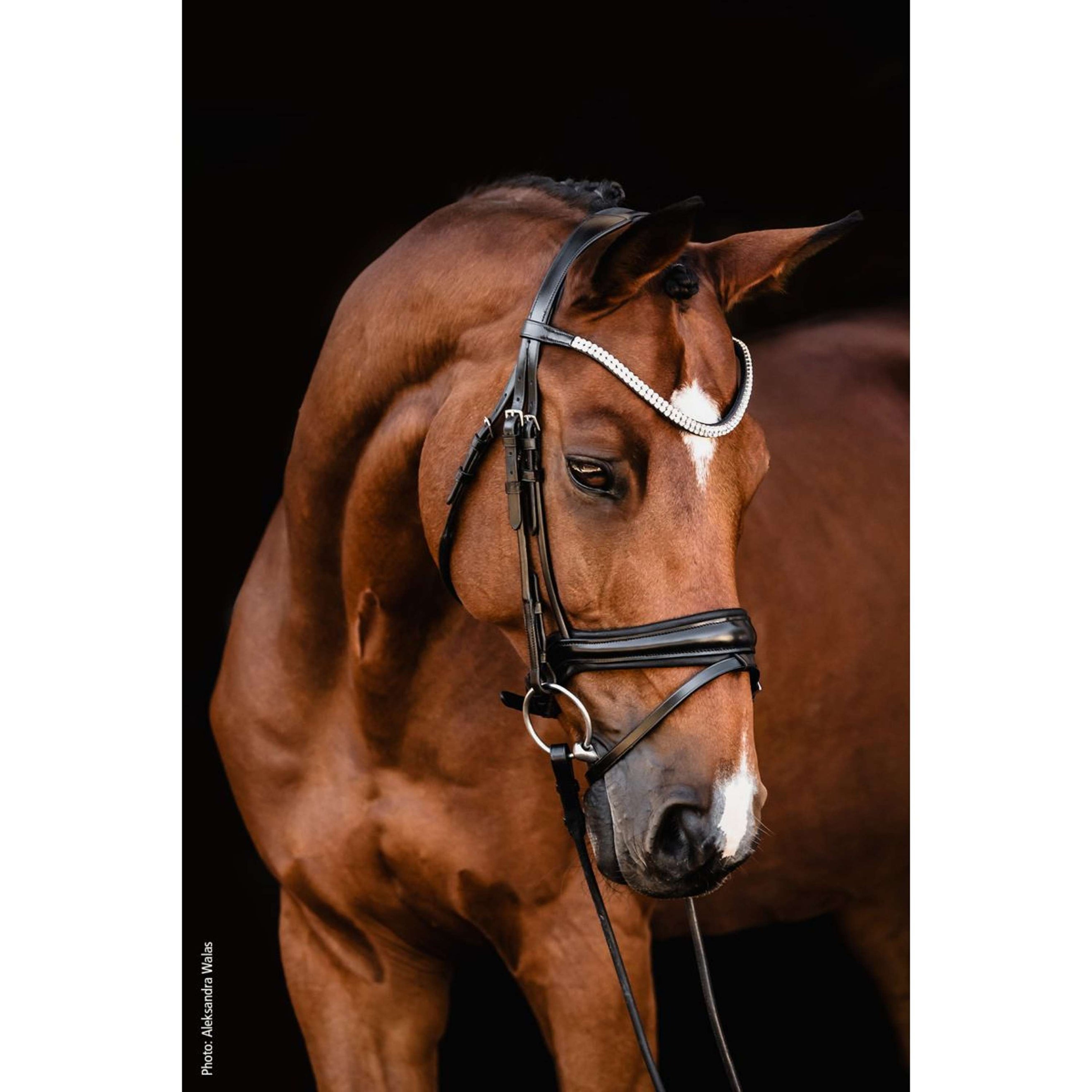 Schockemöhle Trense SP Isabell Werth Johnny Schwarz/Silber