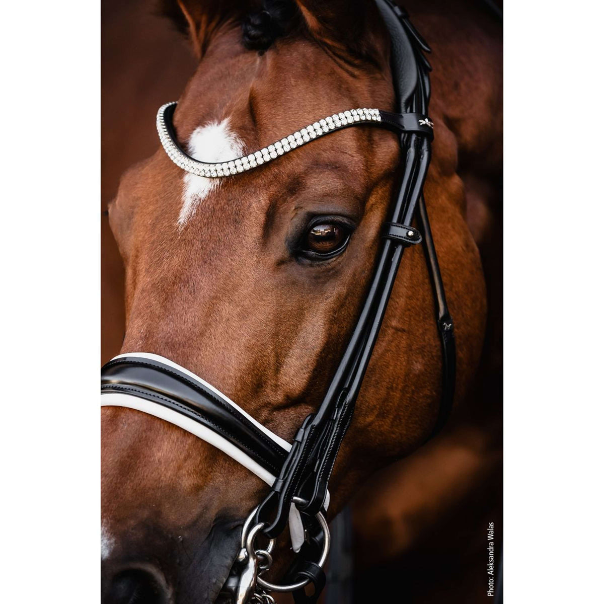 Schockemöhle Kandarenzaum SP Isabell Werth Bella Rose Schwarz/Weiß/Silber